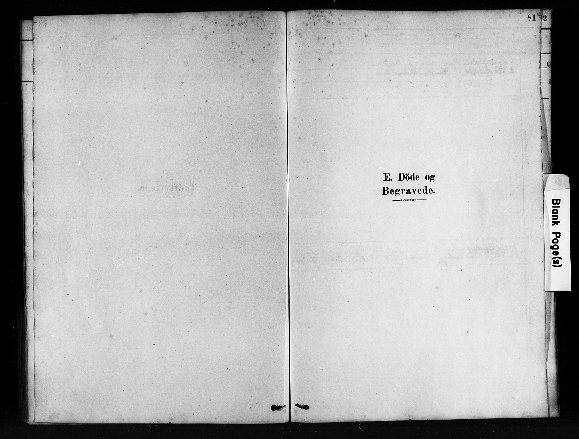 Mandal sokneprestkontor, SAK/1111-0030/F/Fb/Fbb/L0004: Parish register (copy) no. B 4, 1878-1913, p. 81