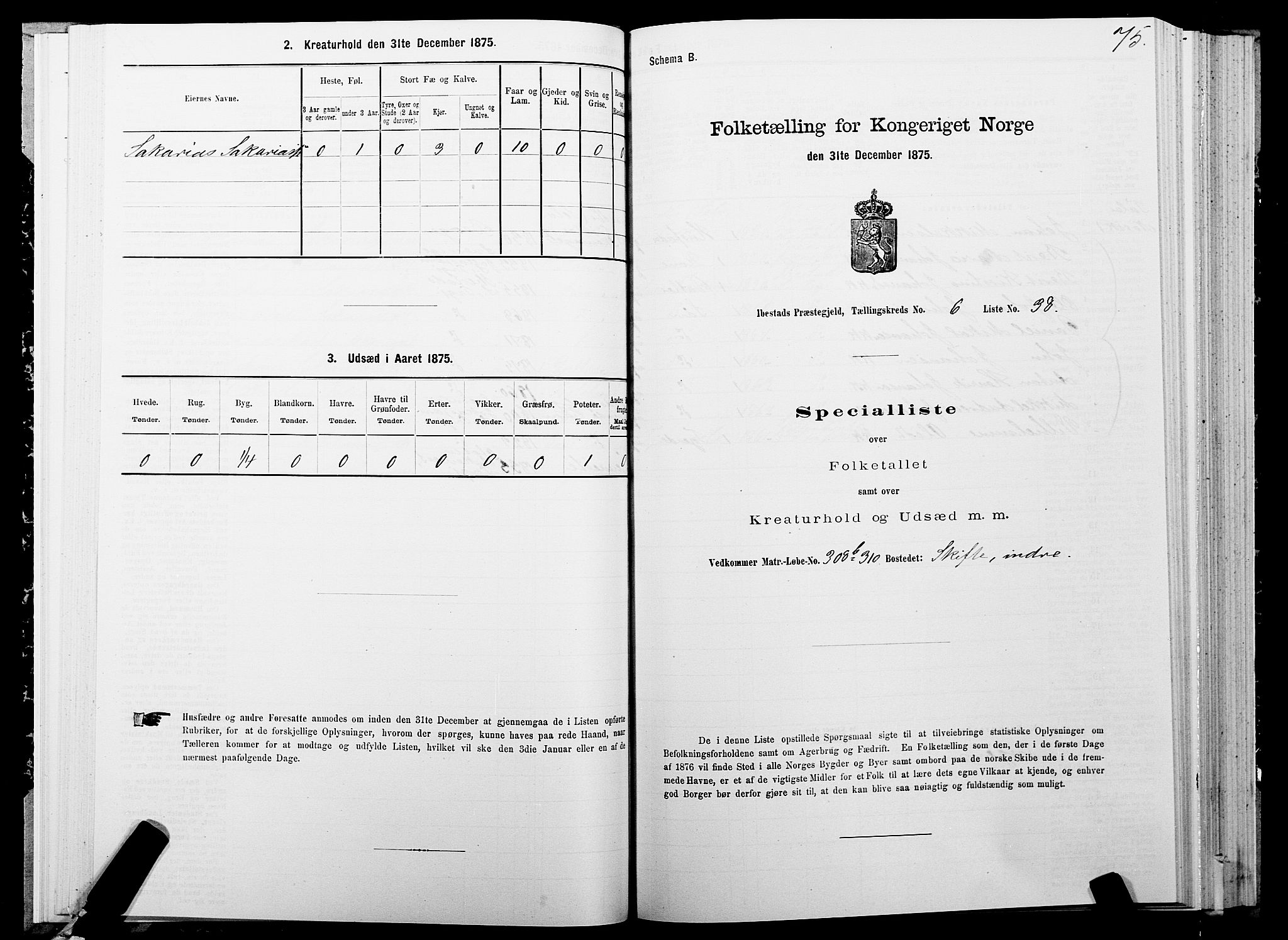 SATØ, 1875 census for 1917P Ibestad, 1875, p. 4075