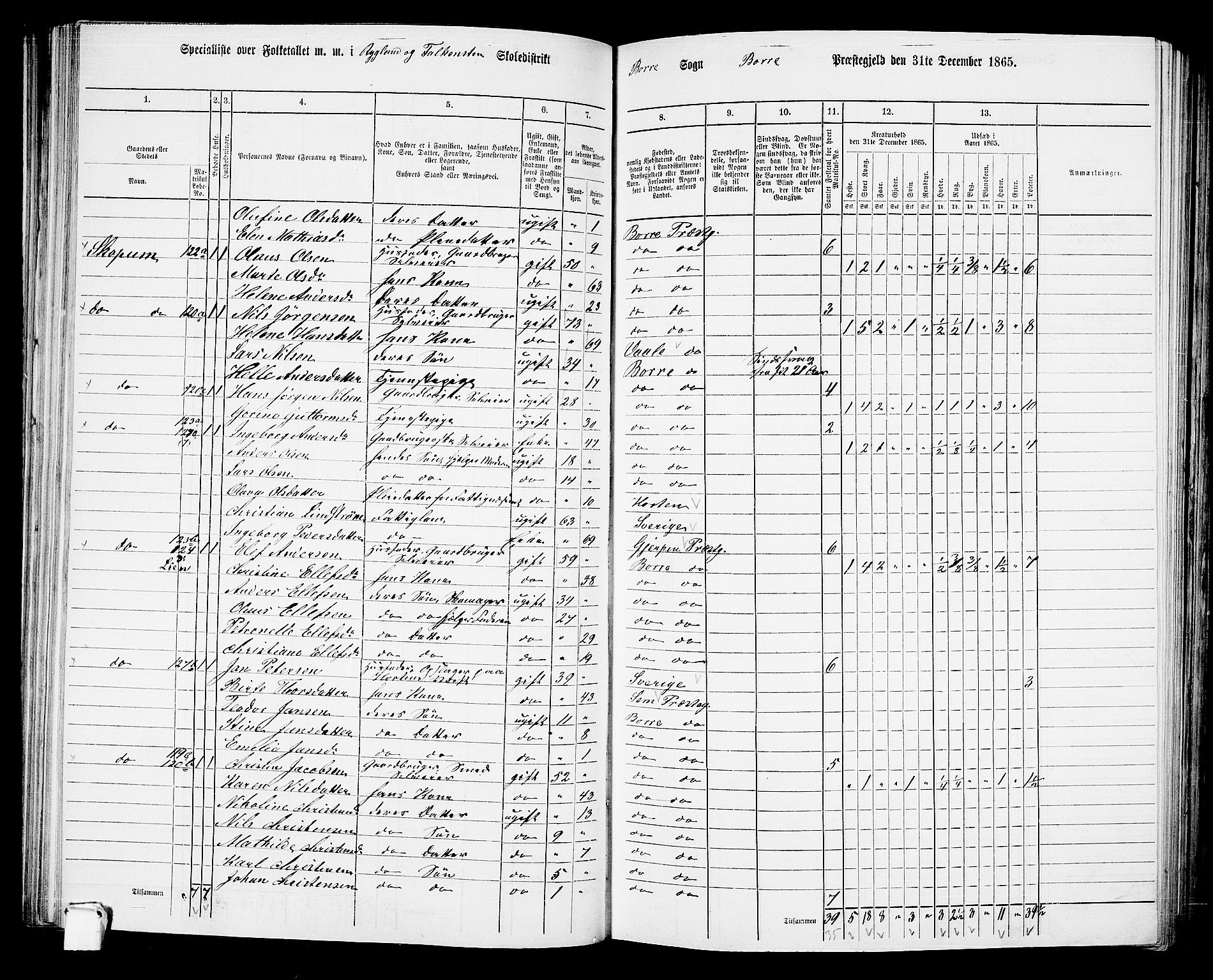 RA, 1865 census for Borre, 1865, p. 115