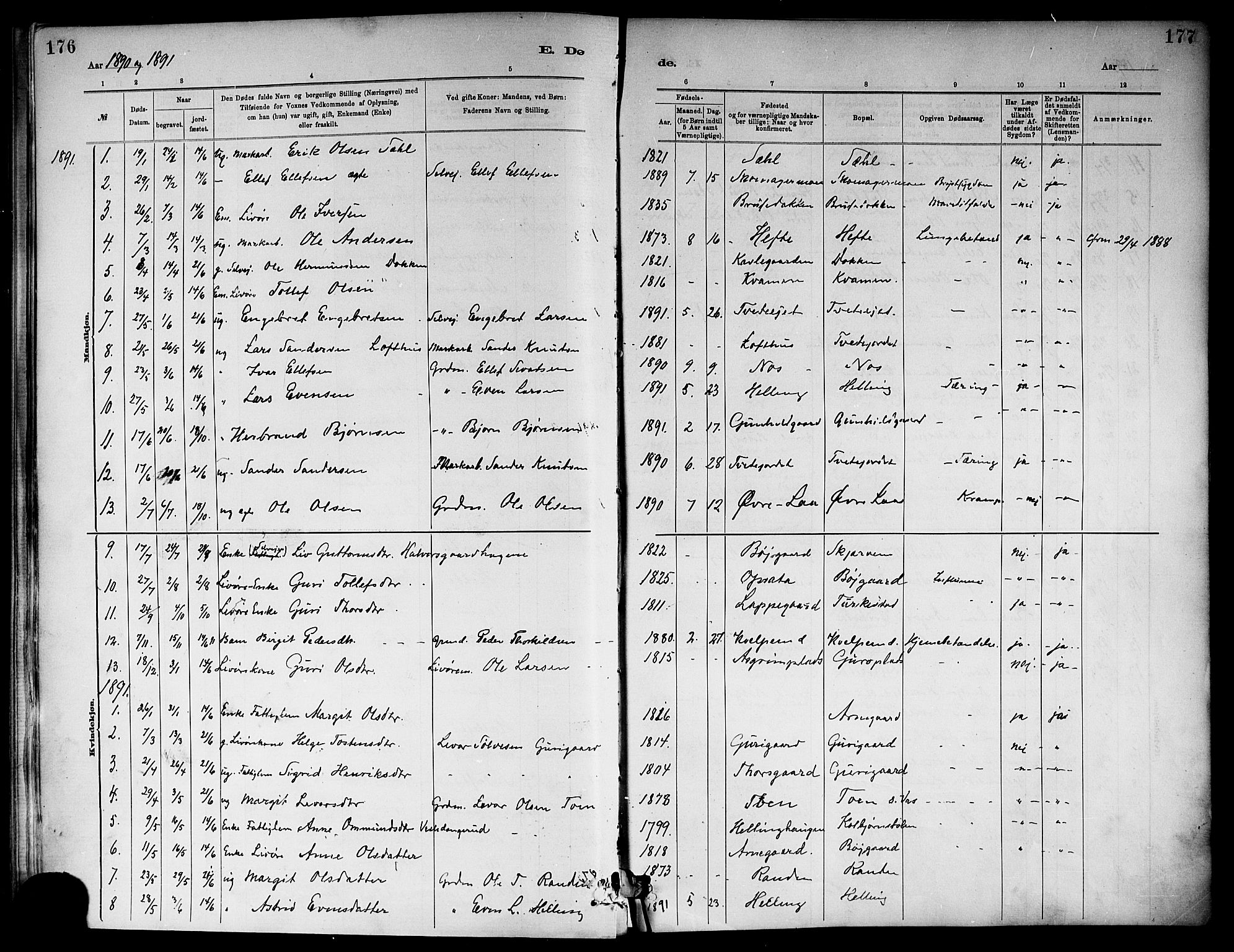 Ål kirkebøker, SAKO/A-249/F/Fa/L0008: Parish register (official) no. I 8, 1882-1896, p. 176-177
