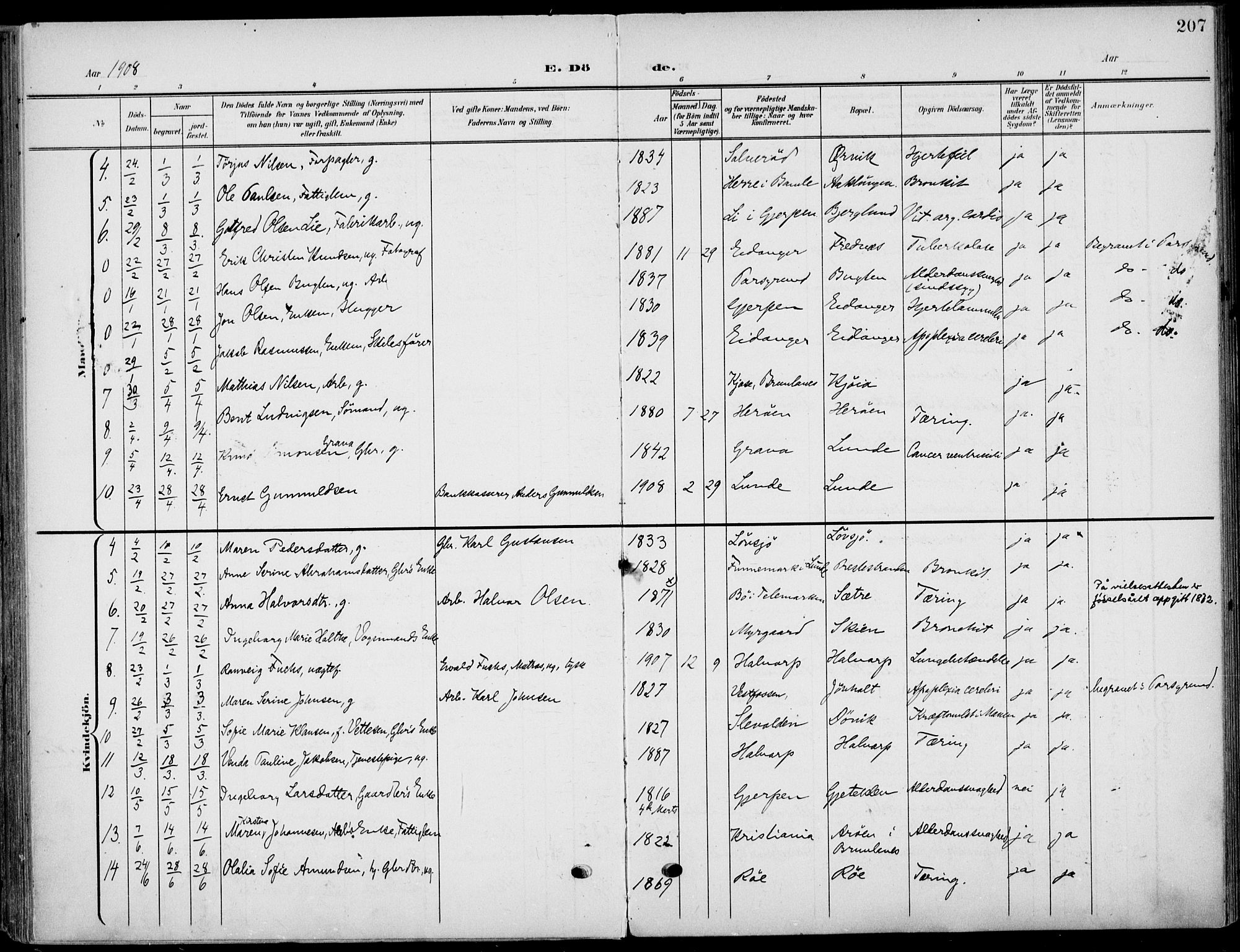 Eidanger kirkebøker, AV/SAKO-A-261/F/Fa/L0013: Parish register (official) no. 13, 1900-1913, p. 207