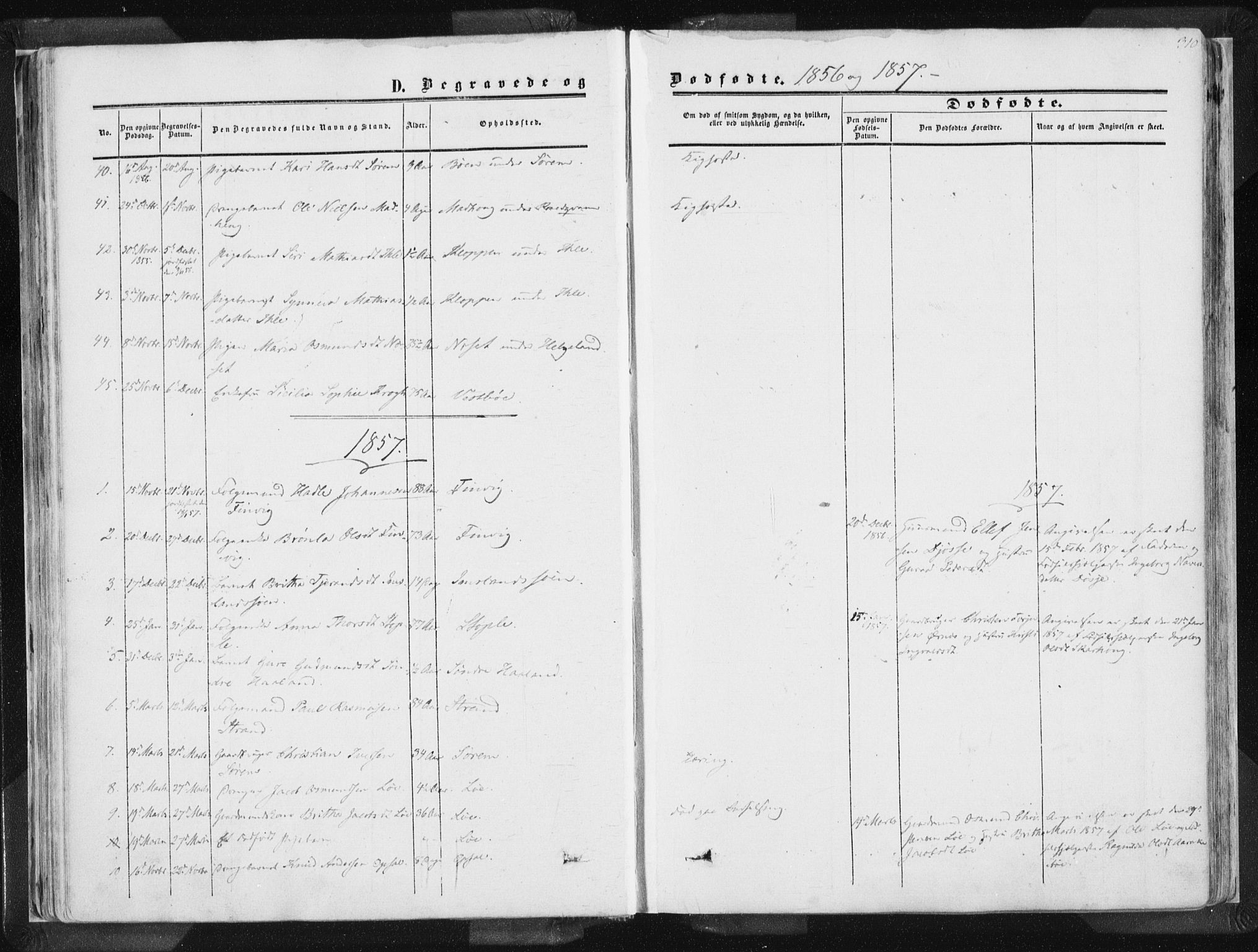 Vikedal sokneprestkontor, SAST/A-101840/01/IV: Parish register (official) no. A 6.2, 1851-1867, p. 310
