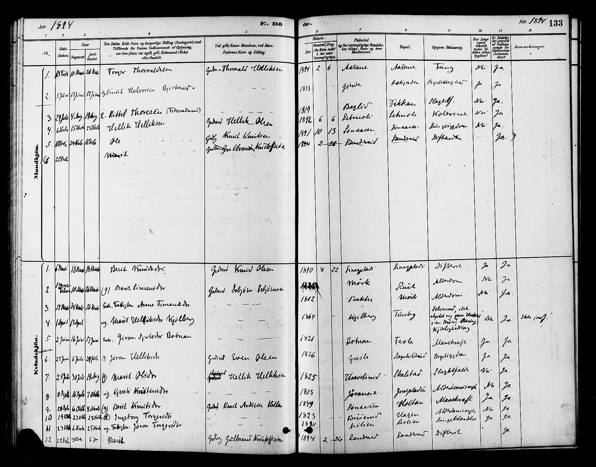 Flesberg kirkebøker, SAKO/A-18/F/Fc/L0001: Parish register (official) no. III 1, 1879-1905, p. 133