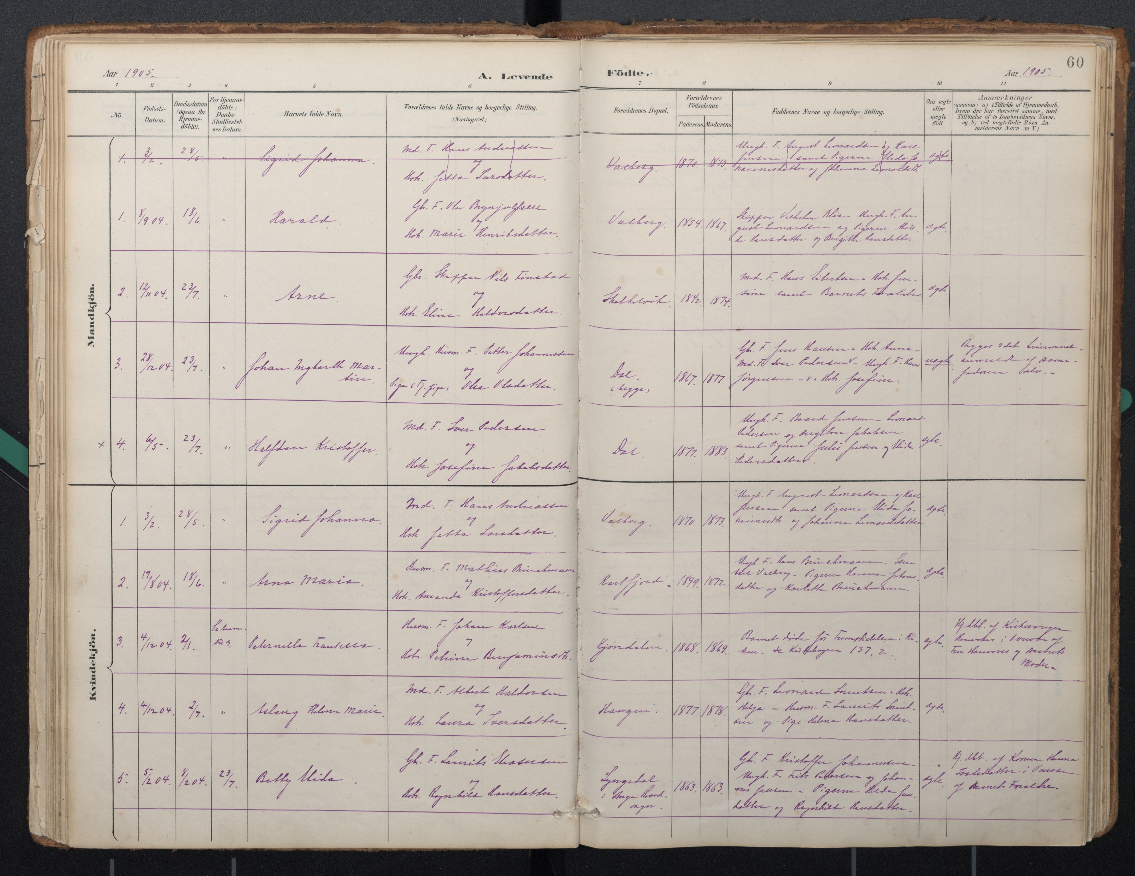 Ministerialprotokoller, klokkerbøker og fødselsregistre - Nordland, AV/SAT-A-1459/884/L1193: Parish register (official) no. 884A01, 1888-1905, p. 60