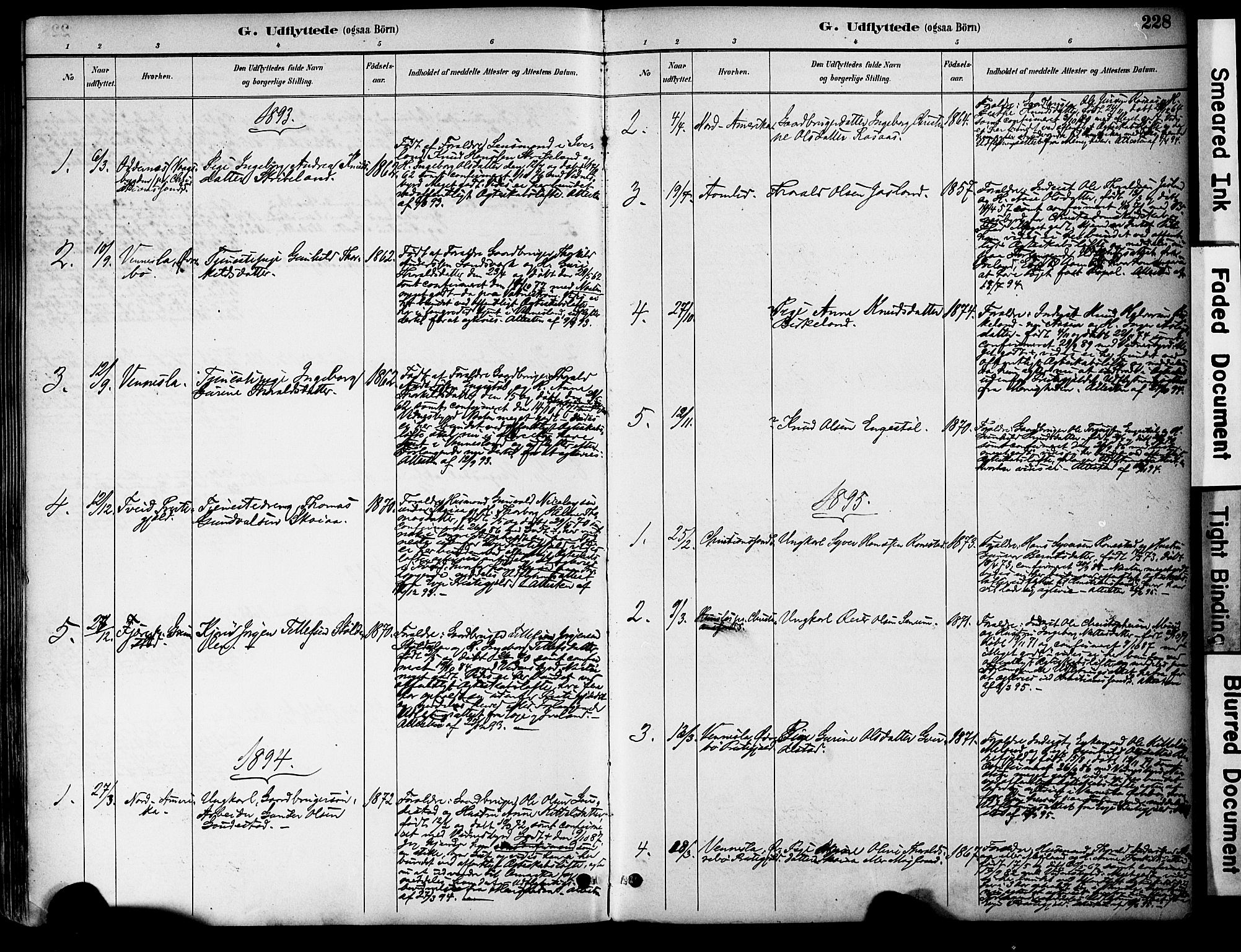 Evje sokneprestkontor, AV/SAK-1111-0008/F/Fa/Fac/L0003: Parish register (official) no. A 3, 1884-1909, p. 228