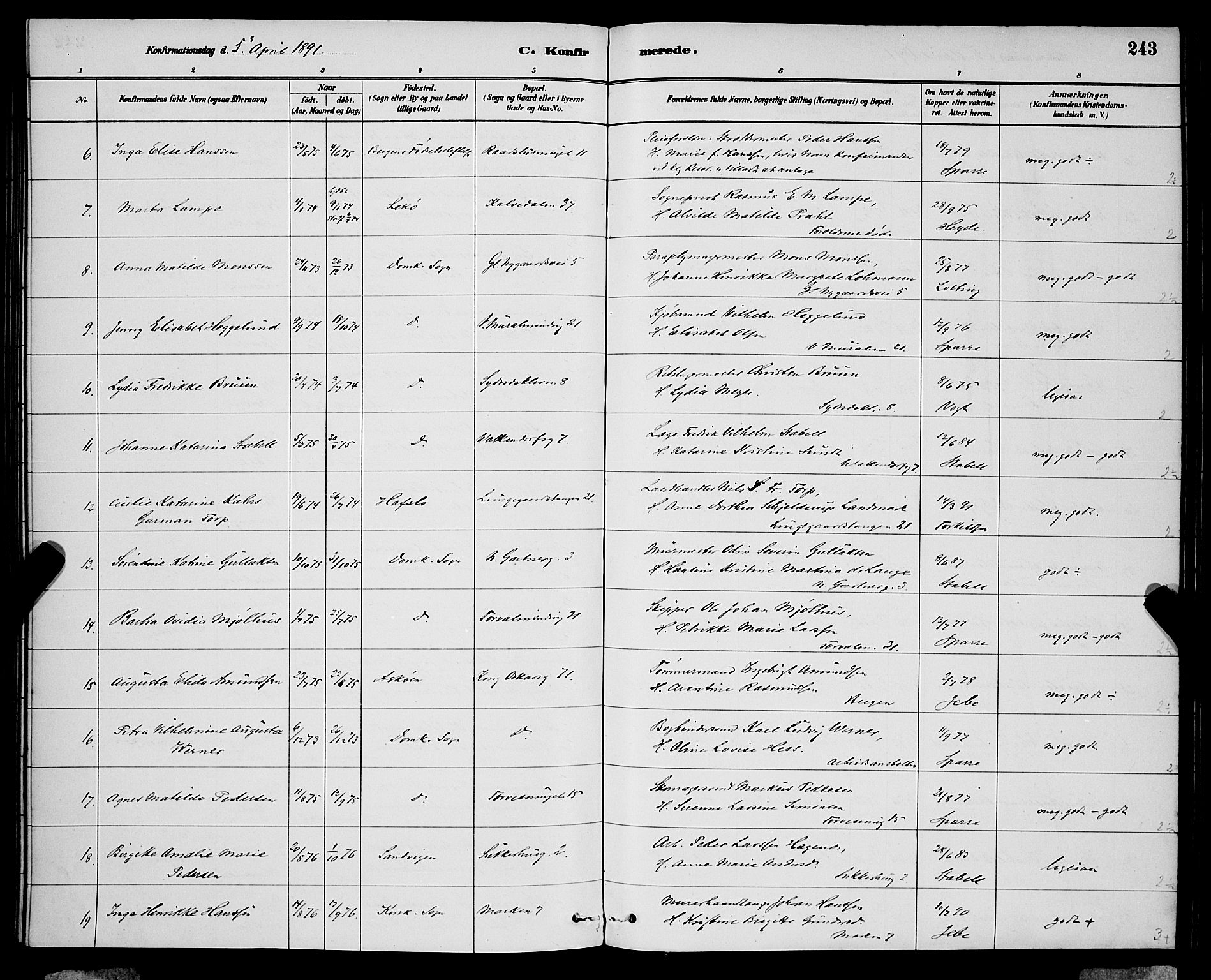 Domkirken sokneprestembete, SAB/A-74801/H/Hab/L0024: Parish register (copy) no. C 4, 1880-1899, p. 243