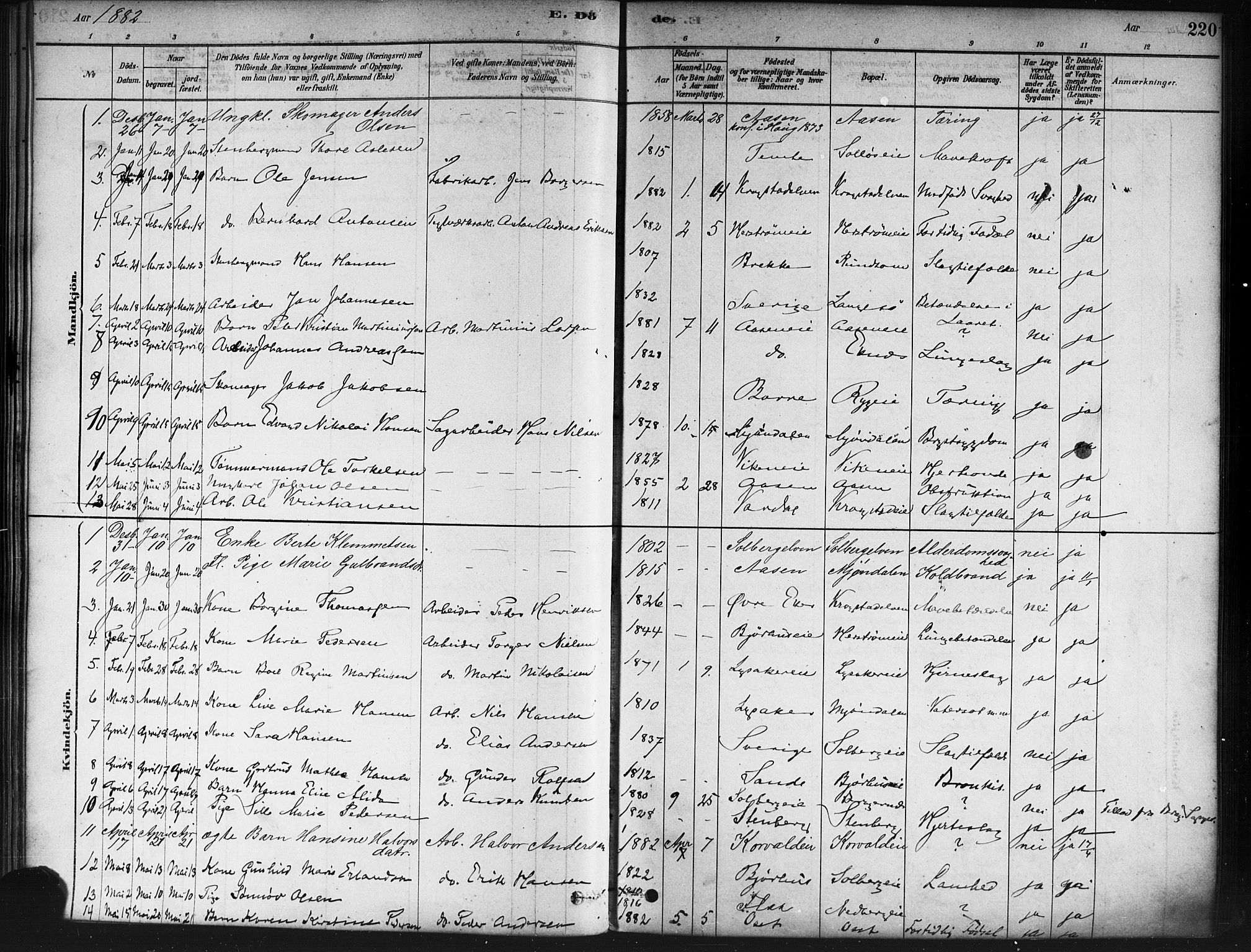 Nedre Eiker kirkebøker, SAKO/A-612/F/Fa/L0002: Parish register (official) no. 2, 1878-1885, p. 220