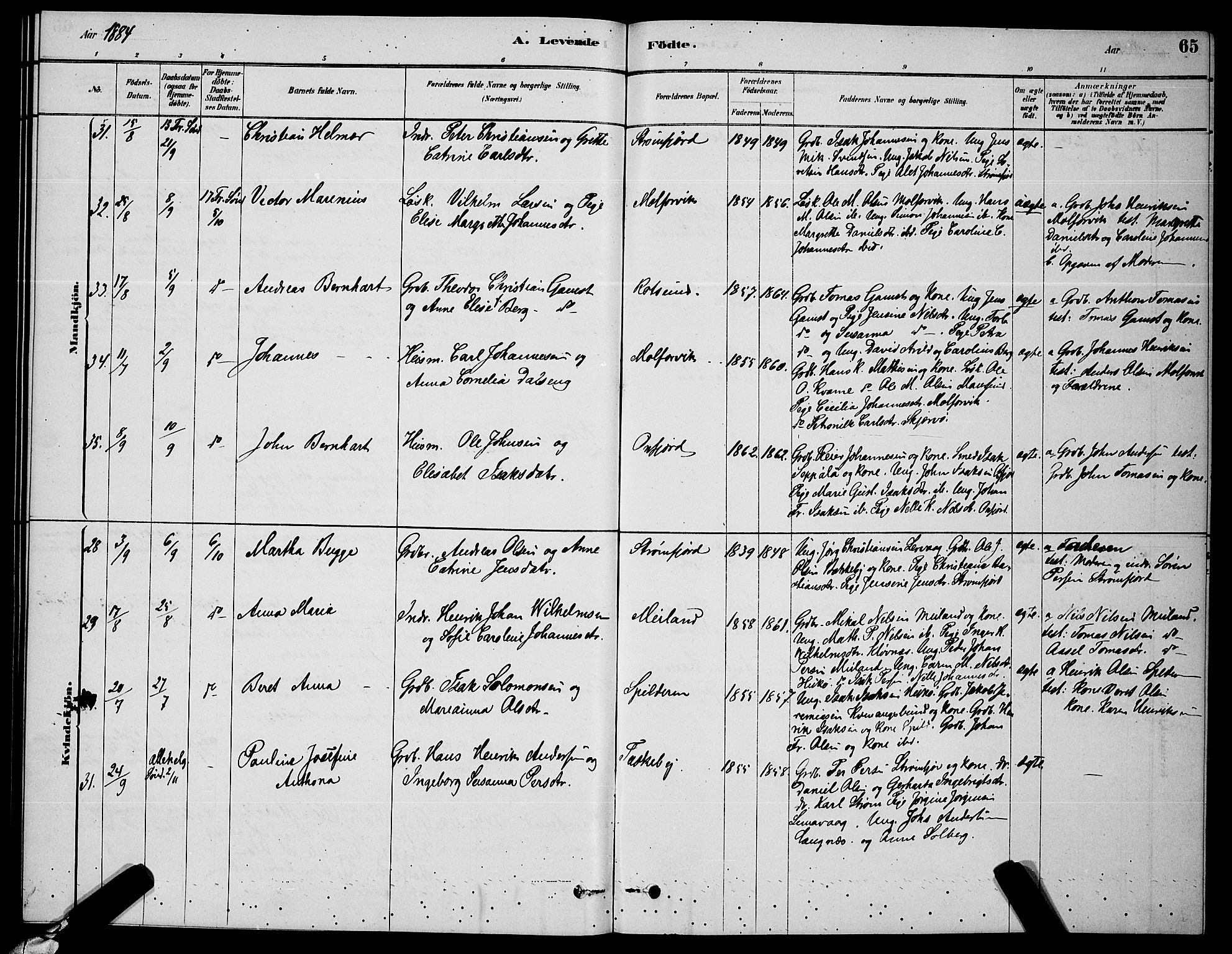 Skjervøy sokneprestkontor, AV/SATØ-S-1300/H/Ha/Hab/L0006klokker: Parish register (copy) no. 6, 1878-1888, p. 65