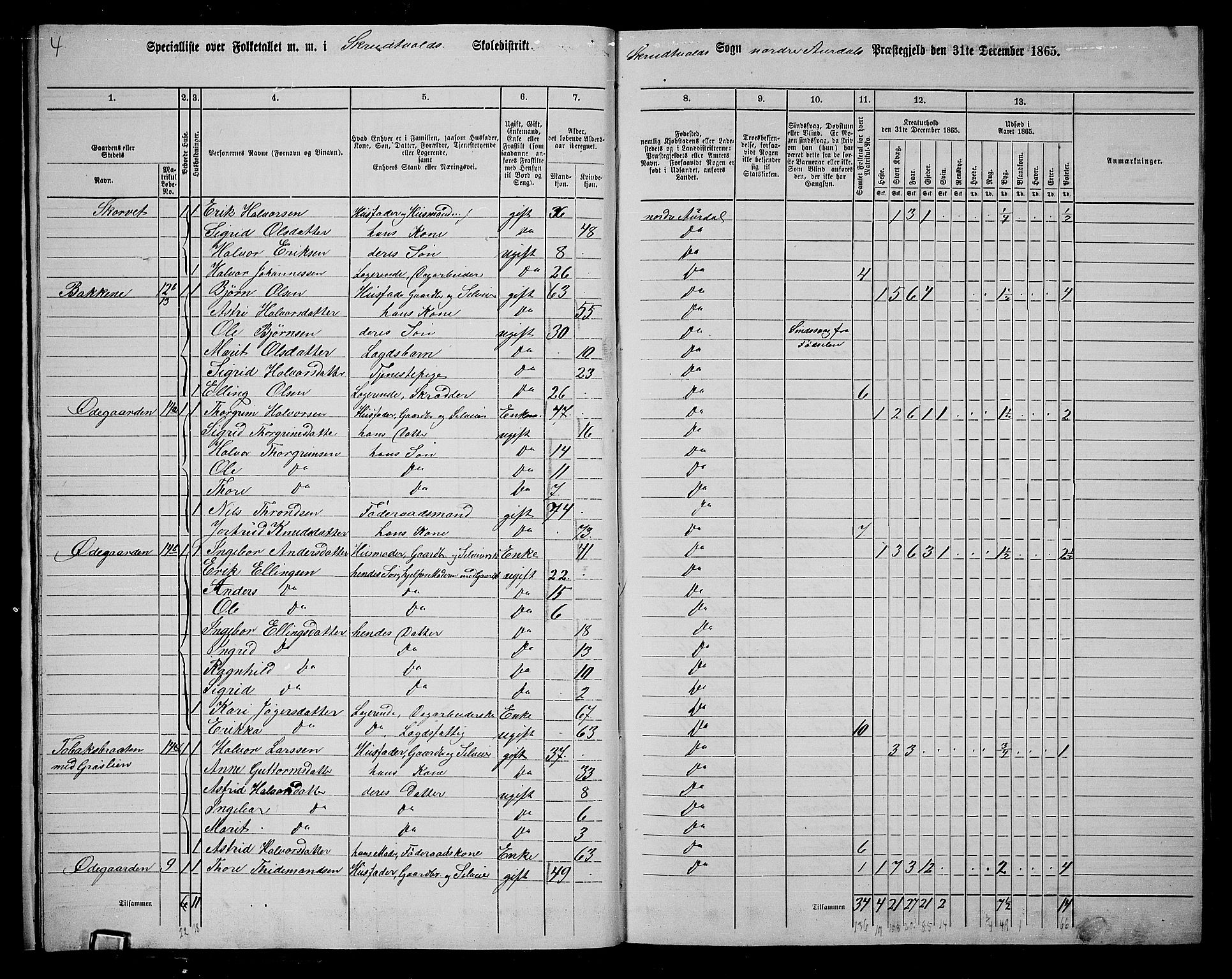 RA, 1865 census for Nord-Aurdal, 1865, p. 16