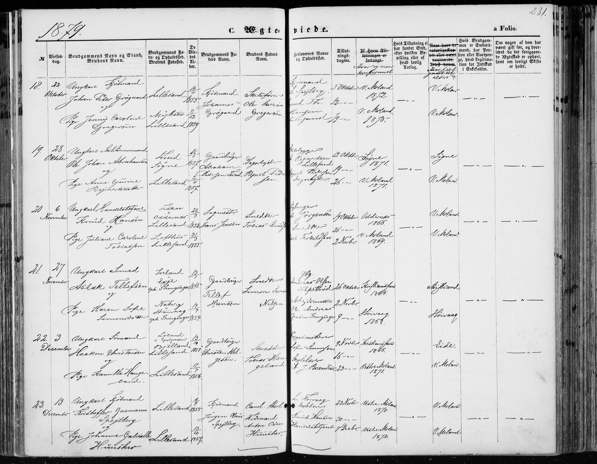 Vestre Moland sokneprestkontor, AV/SAK-1111-0046/F/Fa/Fab/L0008: Parish register (official) no. A 8, 1873-1883, p. 231