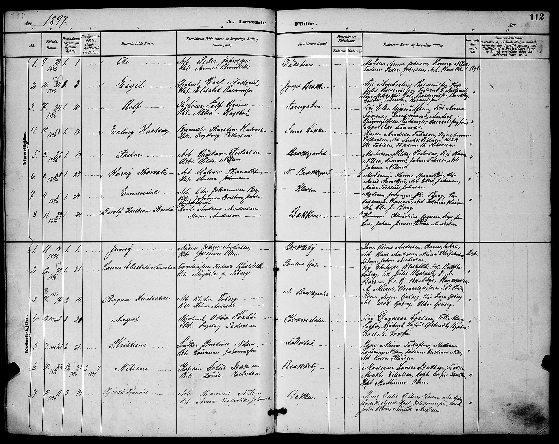 Skien kirkebøker, SAKO/A-302/G/Ga/L0007: Parish register (copy) no. 7, 1891-1900, p. 112