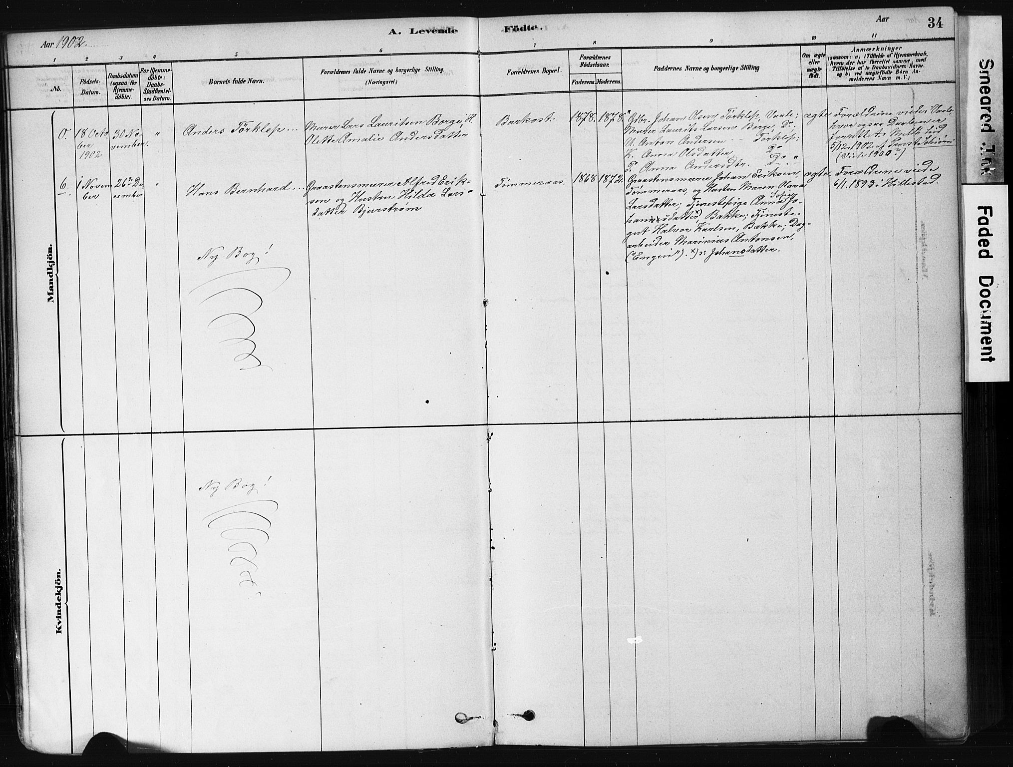 Botne kirkebøker, AV/SAKO-A-340/F/Fb/L0001: Parish register (official) no. II 1, 1878-1902, p. 34