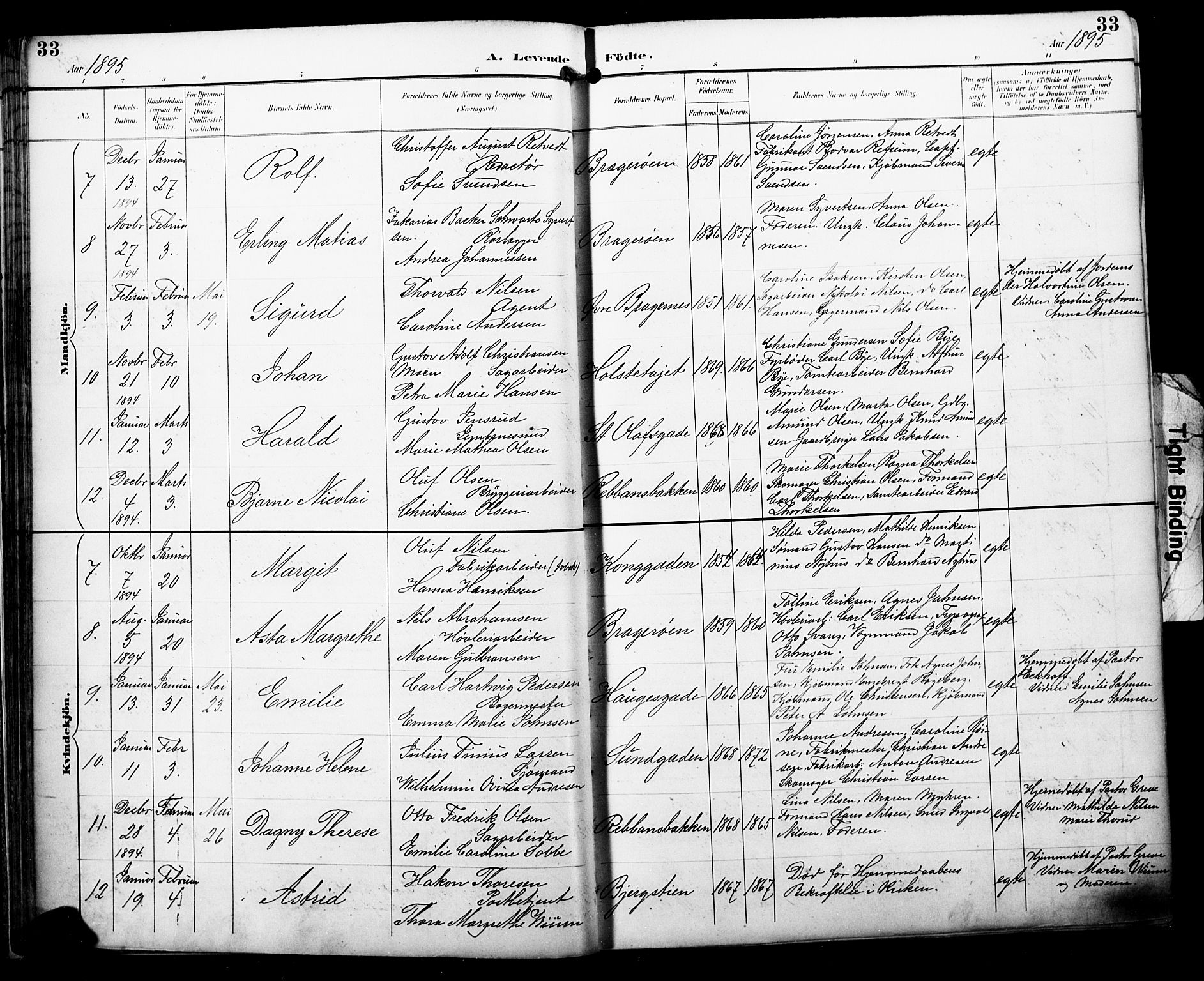 Bragernes kirkebøker, AV/SAKO-A-6/F/Fb/L0008: Parish register (official) no. II 8, 1894-1902, p. 33