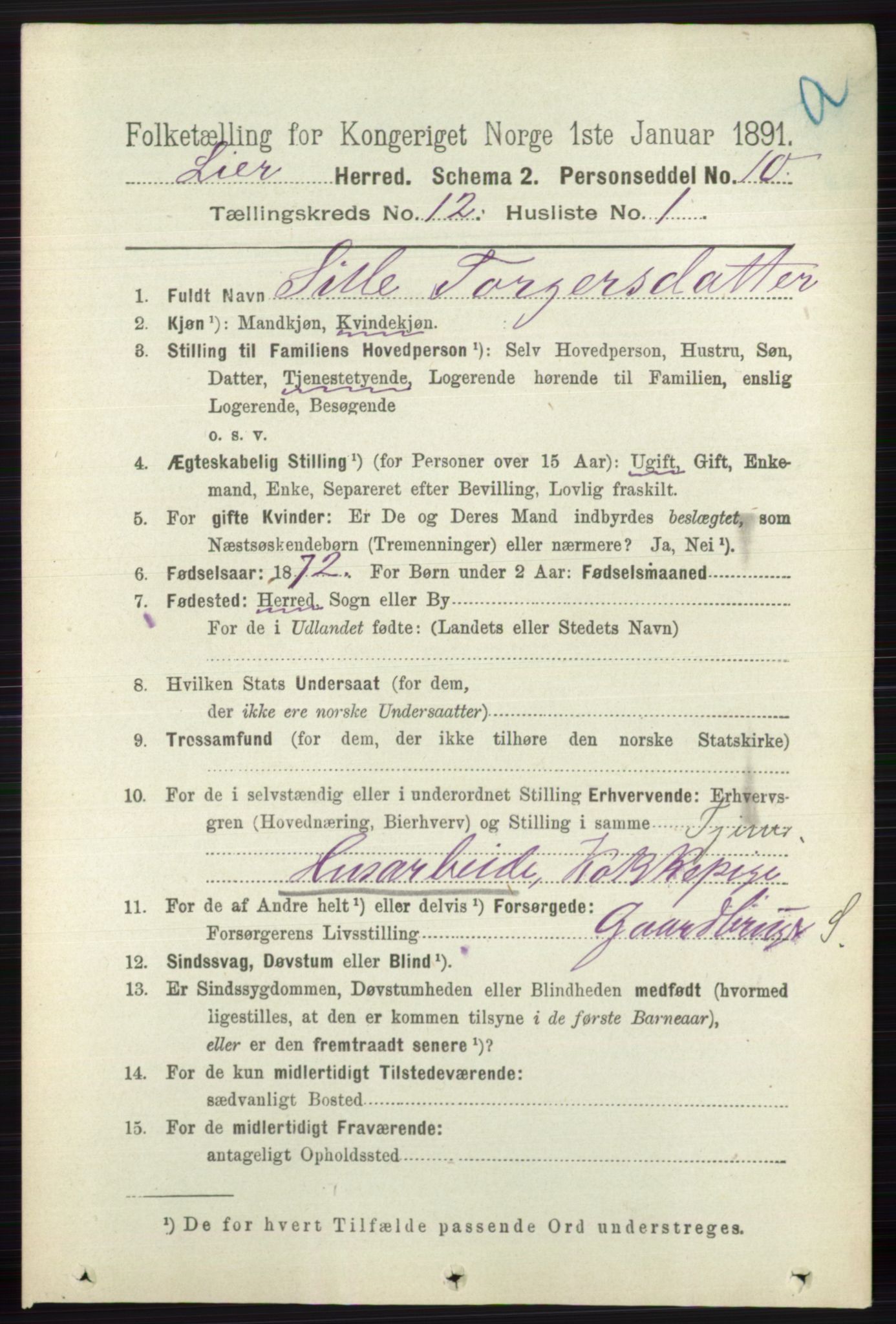 RA, 1891 census for 0626 Lier, 1891, p. 7372