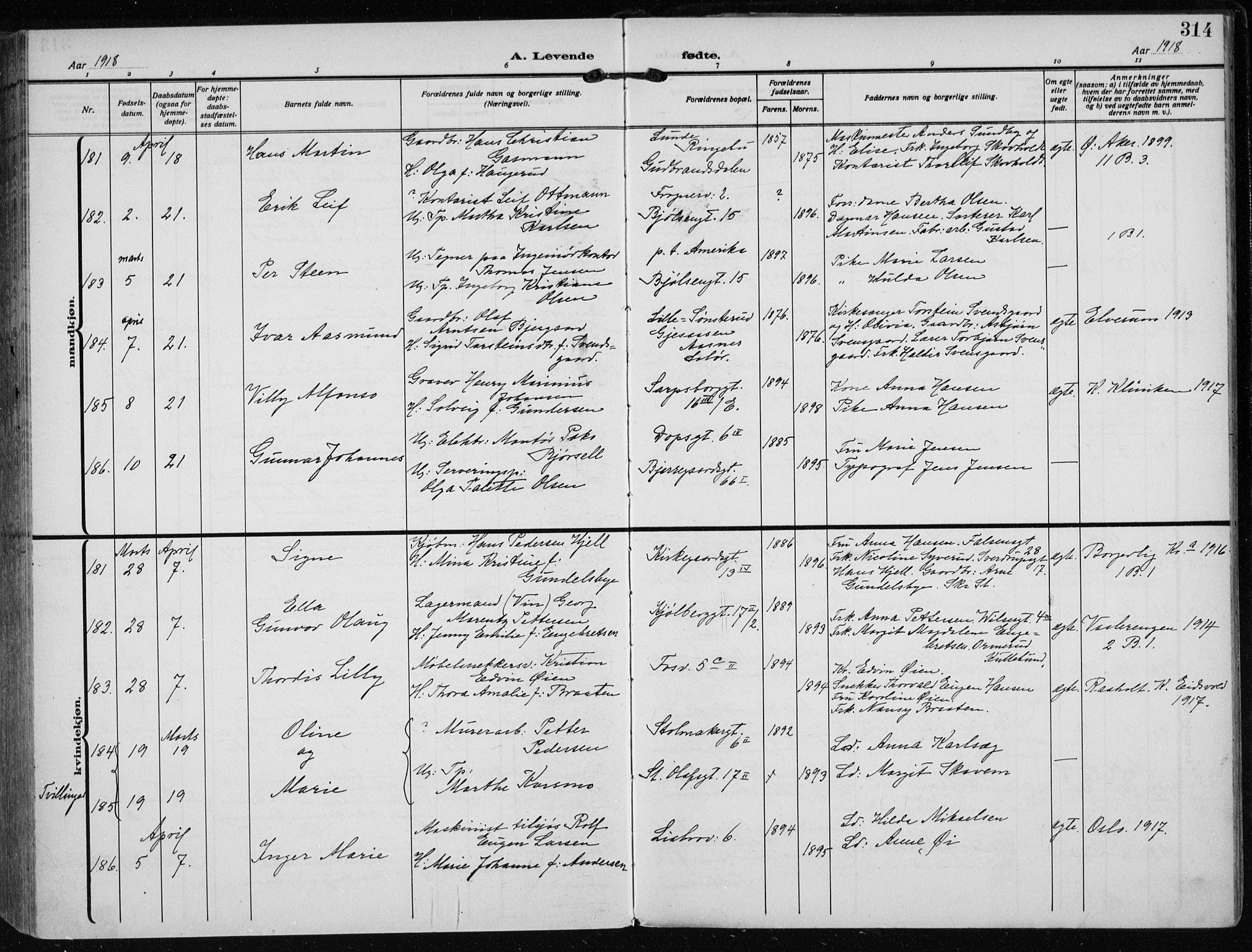 Rikshospitalet prestekontor Kirkebøker, SAO/A-10309b/F/L0016: Parish register (official) no. 16, 1916-1918, p. 314
