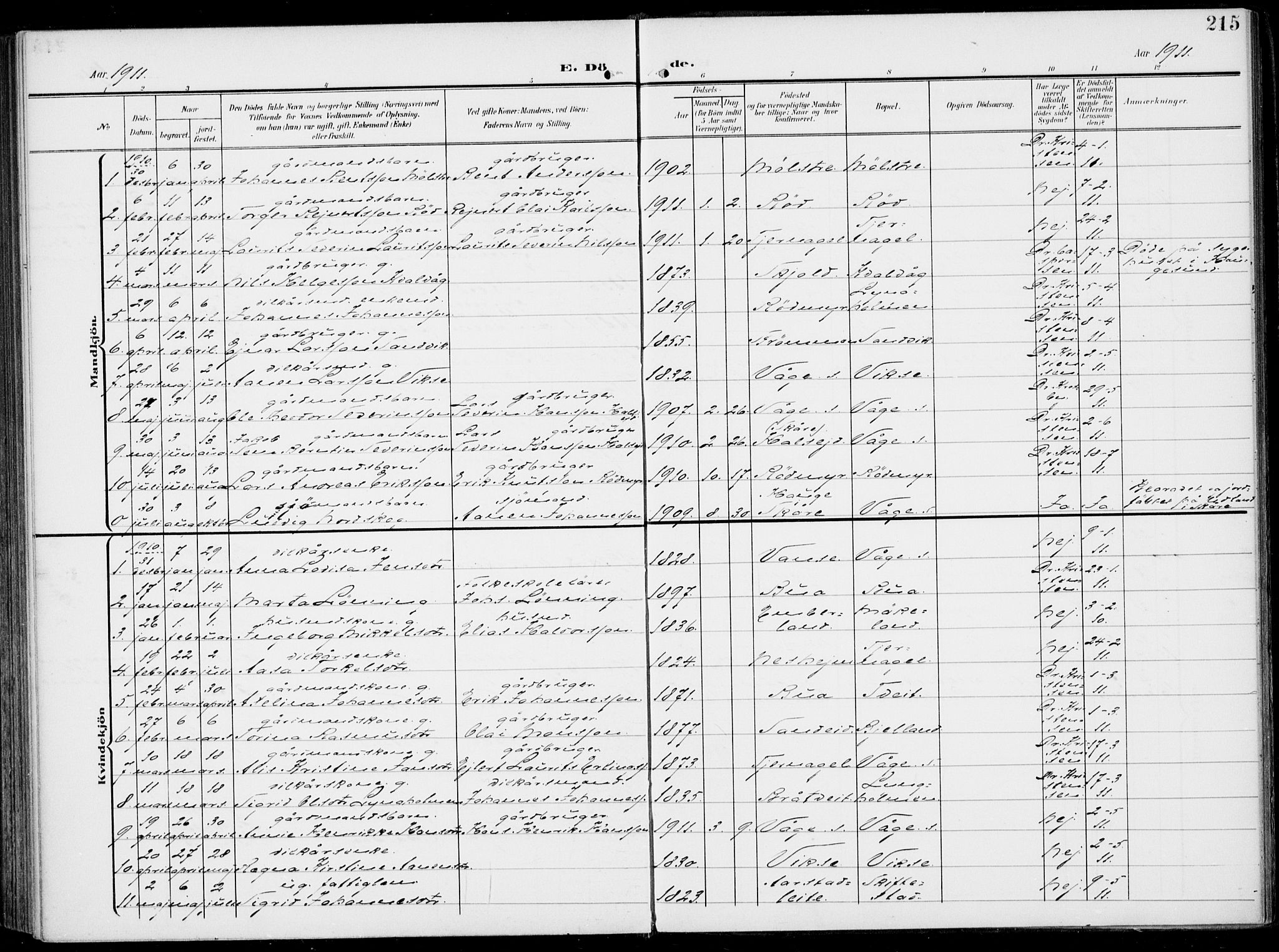 Sveio Sokneprestembete, SAB/A-78501/H/Haa: Parish register (official) no. B  4, 1906-1919, p. 215