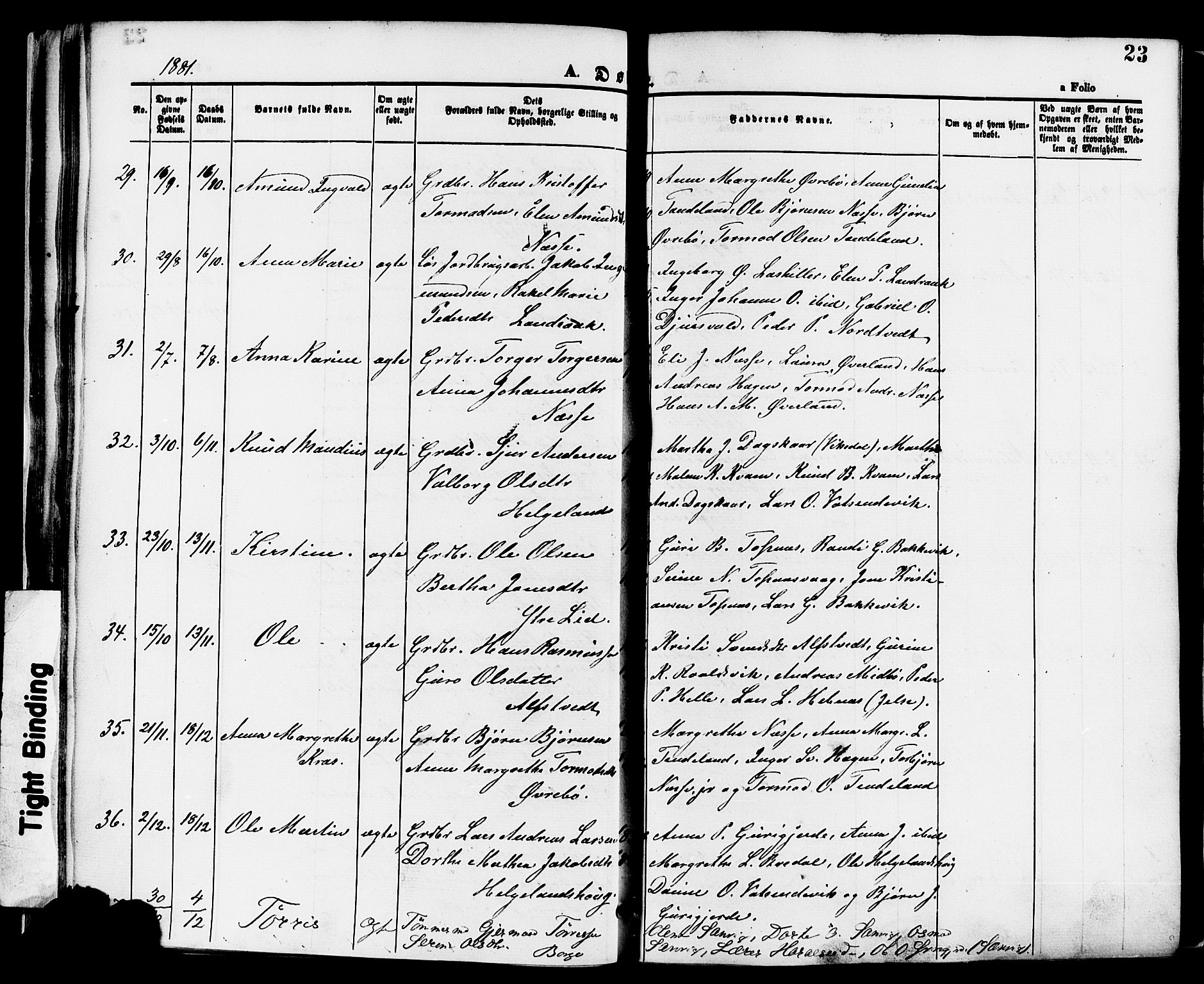 Nedstrand sokneprestkontor, SAST/A-101841/01/IV: Parish register (official) no. A 11, 1877-1887, p. 23