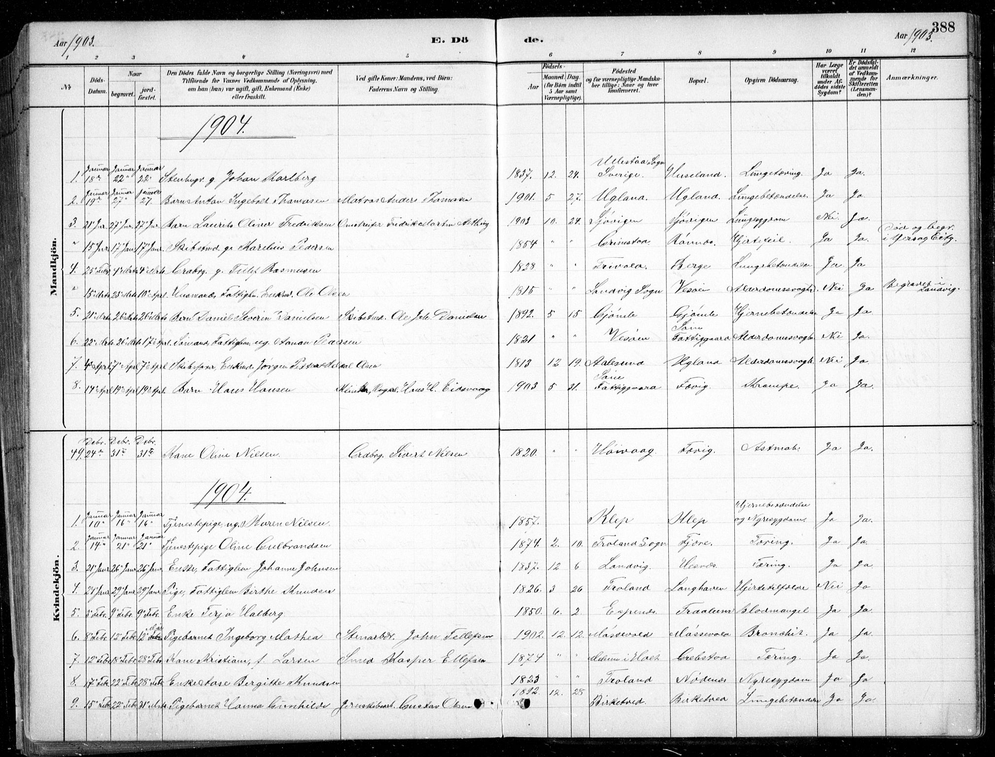 Fjære sokneprestkontor, SAK/1111-0011/F/Fb/L0011: Parish register (copy) no. B 11, 1881-1905, p. 388