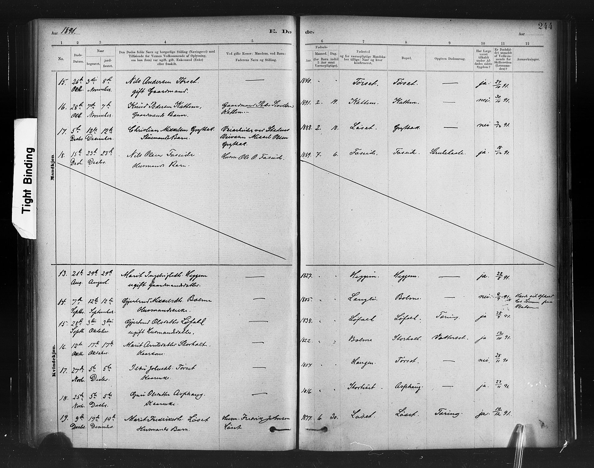 Ministerialprotokoller, klokkerbøker og fødselsregistre - Møre og Romsdal, AV/SAT-A-1454/598/L1069: Parish register (official) no. 598A03, 1882-1895, p. 244