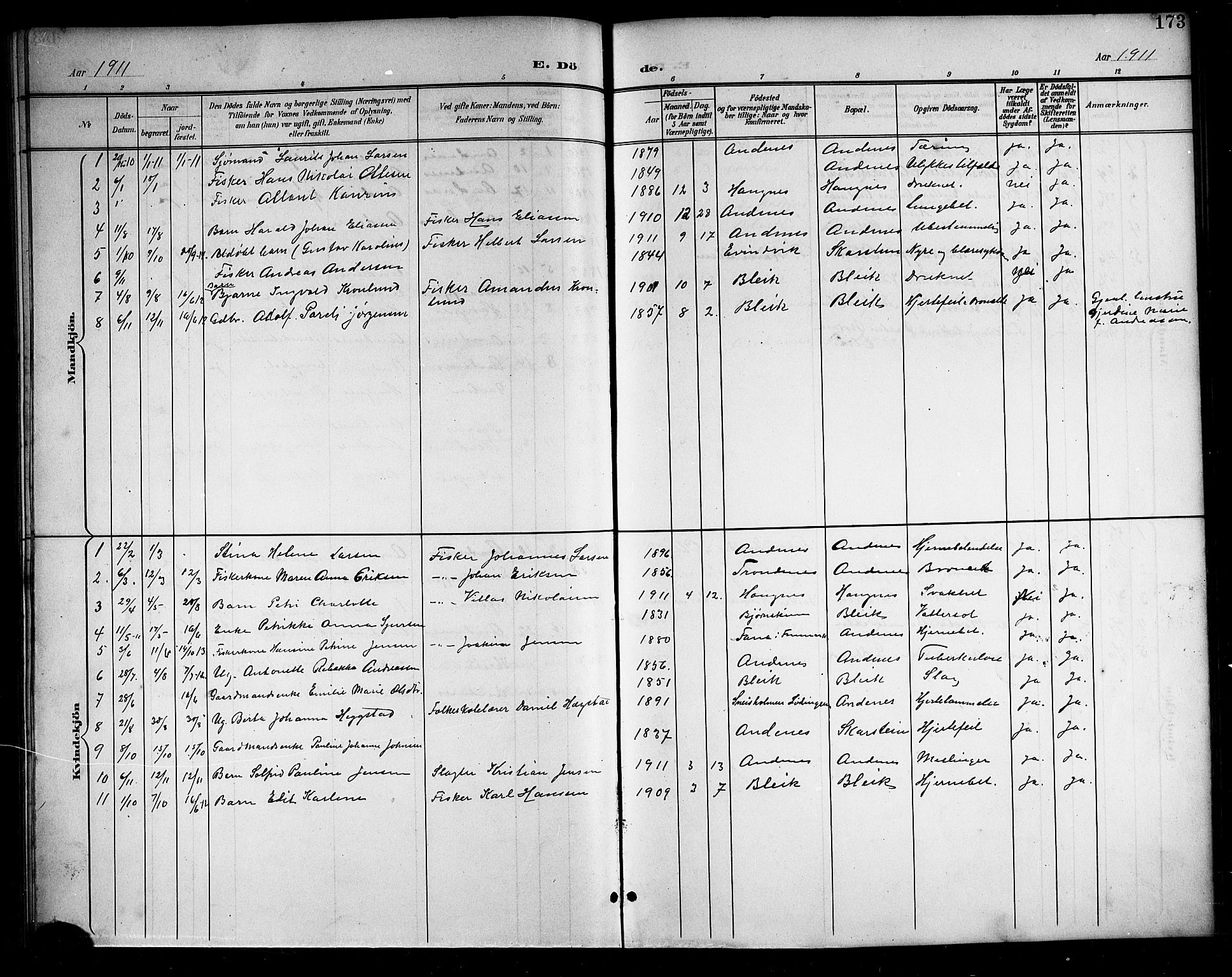 Ministerialprotokoller, klokkerbøker og fødselsregistre - Nordland, AV/SAT-A-1459/899/L1449: Parish register (copy) no. 899C04, 1900-1918, p. 173