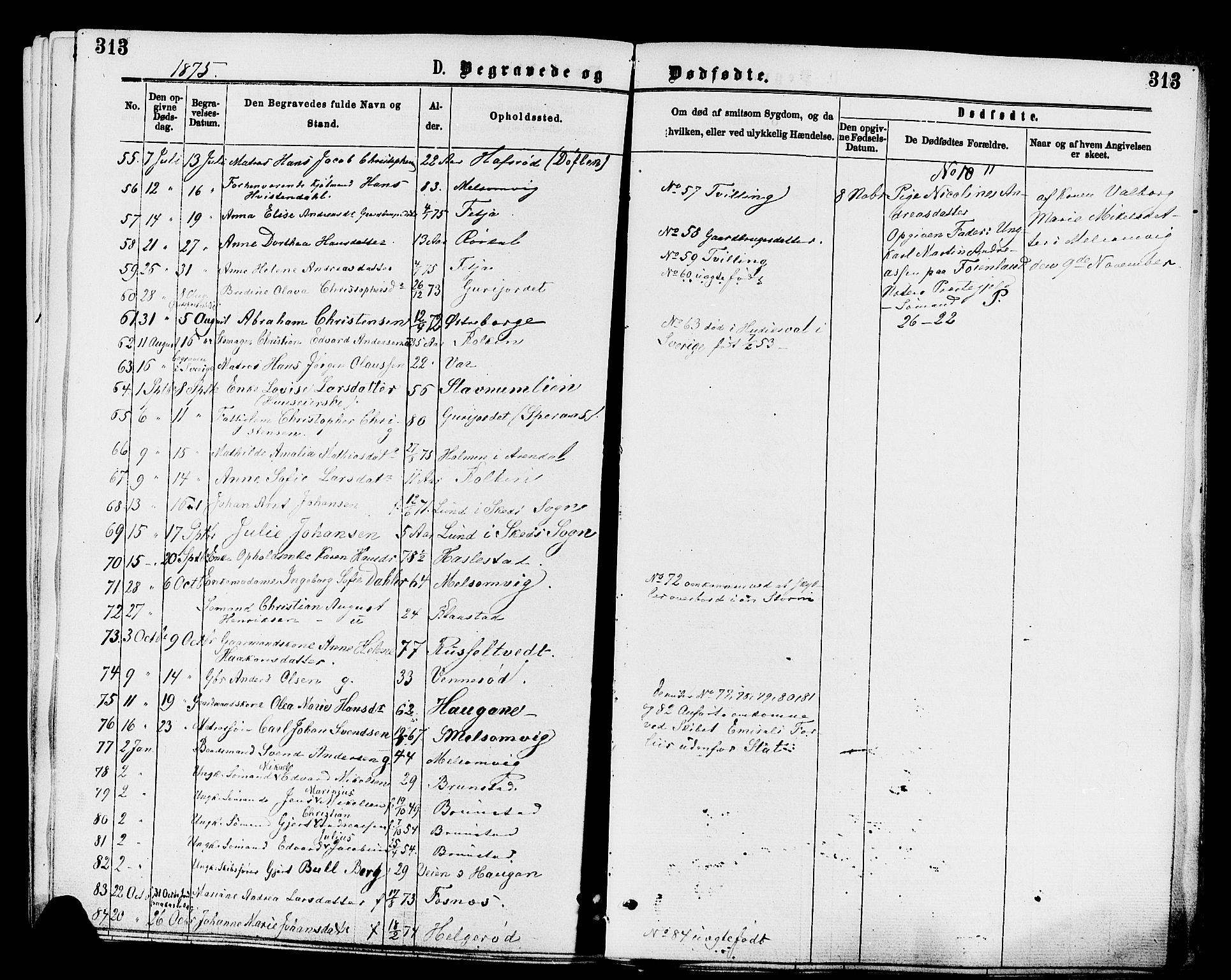 Stokke kirkebøker, AV/SAKO-A-320/F/Fa/L0009: Parish register (official) no. I 9, 1872-1883, p. 313