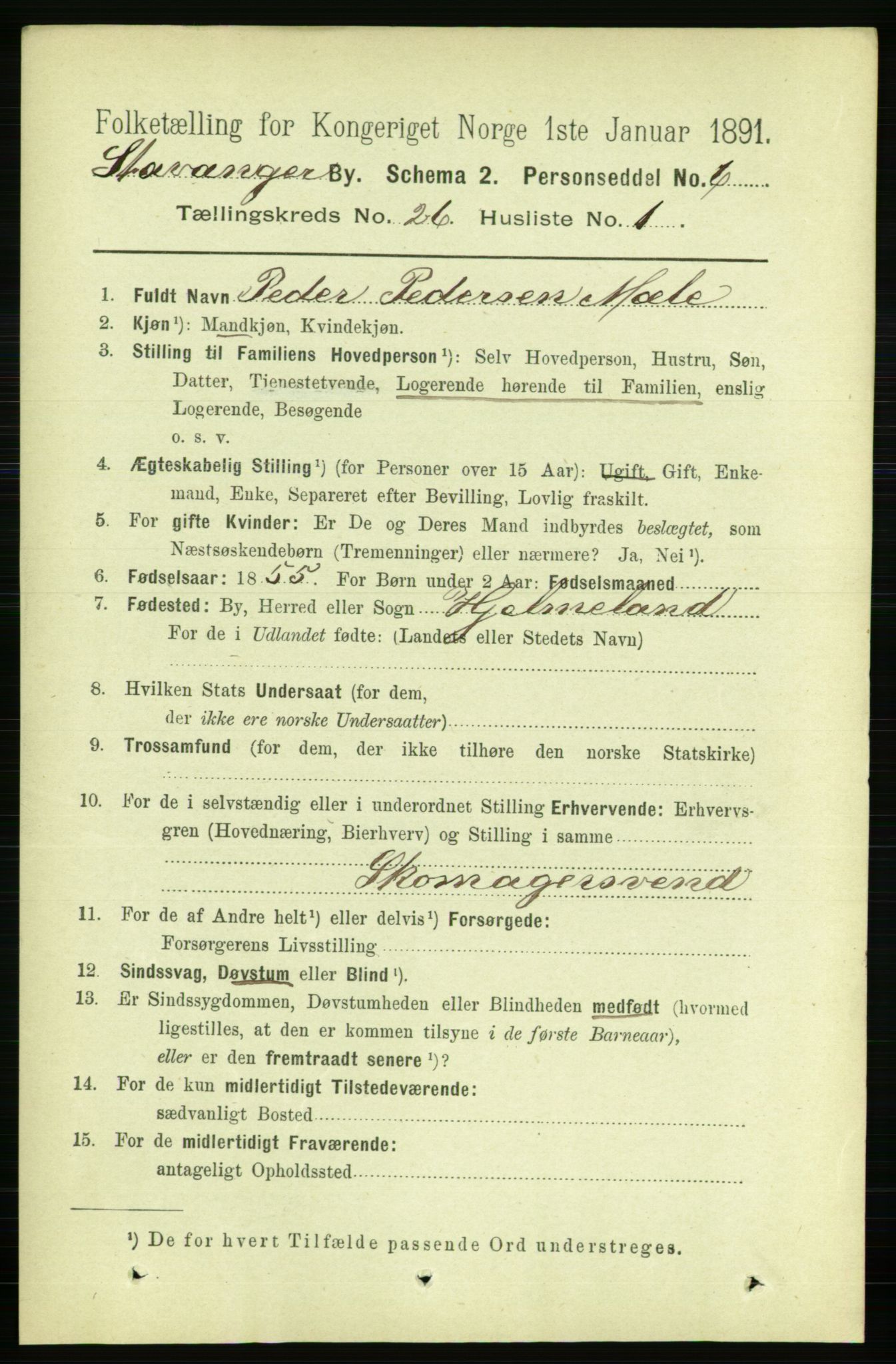 RA, 1891 census for 1103 Stavanger, 1891, p. 28123