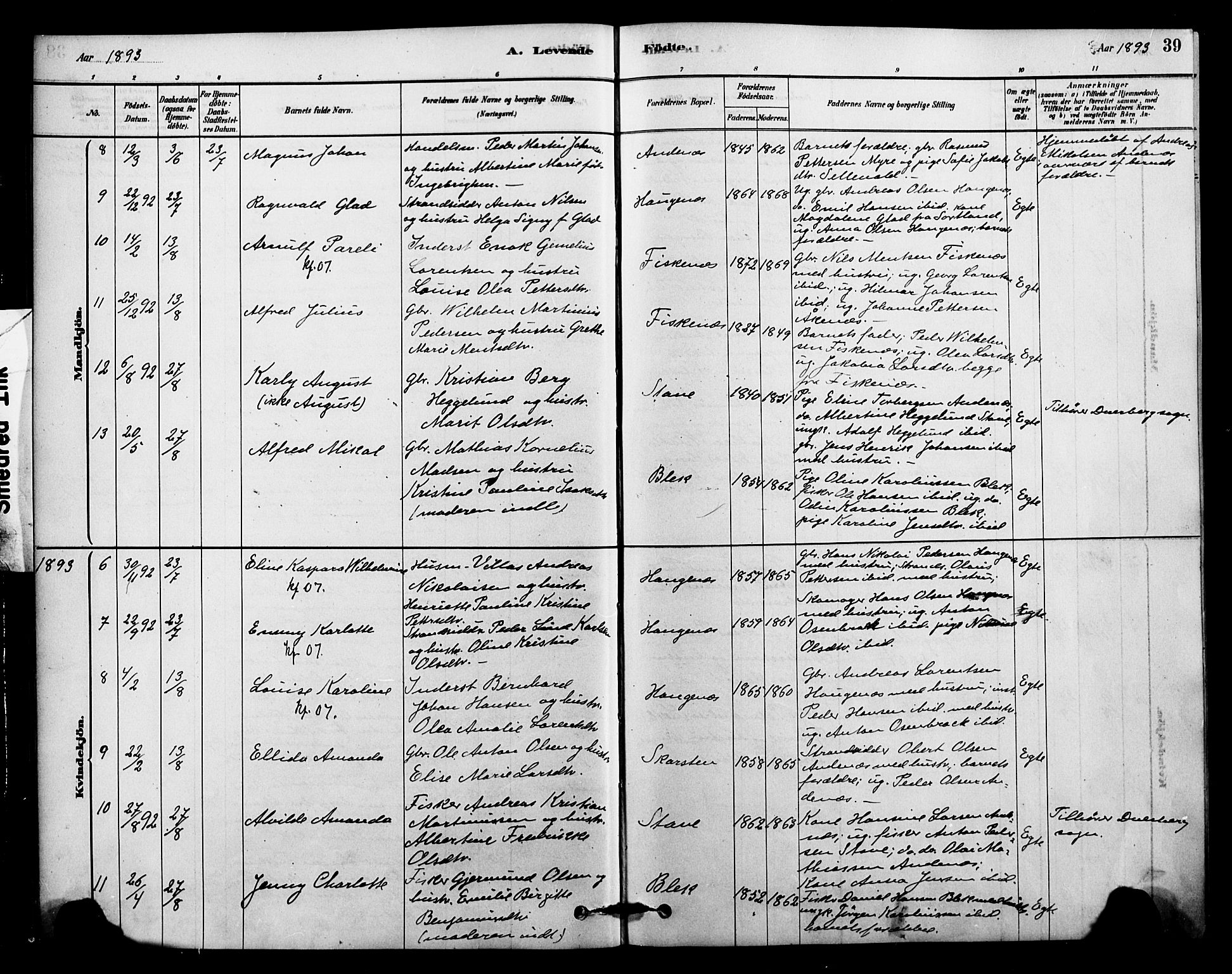 Ministerialprotokoller, klokkerbøker og fødselsregistre - Nordland, AV/SAT-A-1459/899/L1436: Parish register (official) no. 899A04, 1881-1896, p. 39