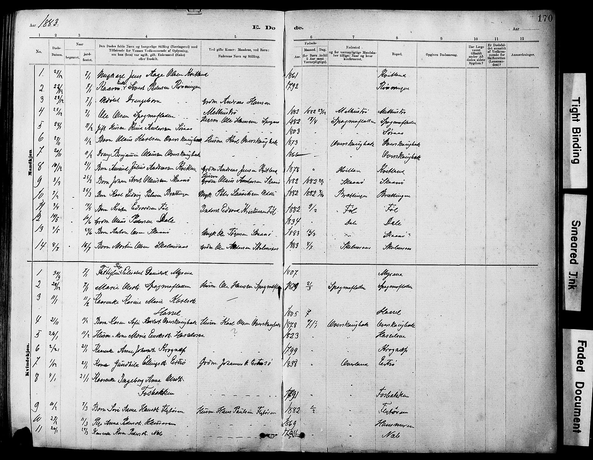 Ministerialprotokoller, klokkerbøker og fødselsregistre - Sør-Trøndelag, SAT/A-1456/647/L0636: Parish register (copy) no. 647C01, 1881-1884, p. 170