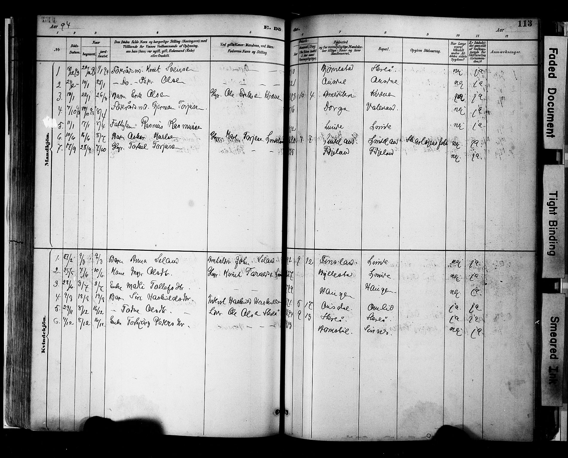 Sirdal sokneprestkontor, AV/SAK-1111-0036/F/Fa/Faa/L0001: Parish register (official) no. A 1, 1887-1910, p. 113