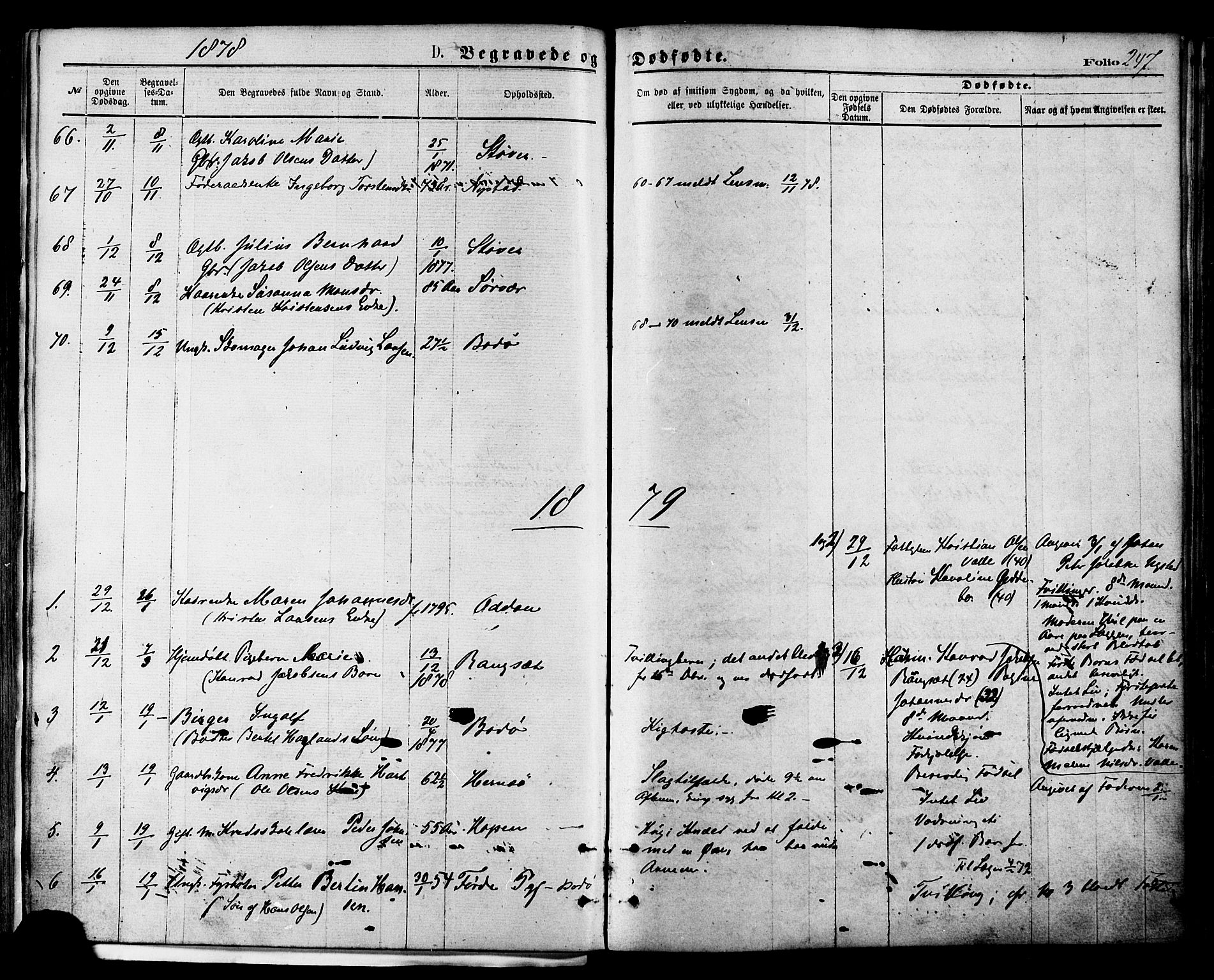 Ministerialprotokoller, klokkerbøker og fødselsregistre - Nordland, AV/SAT-A-1459/801/L0009: Parish register (official) no. 801A09, 1876-1883, p. 247