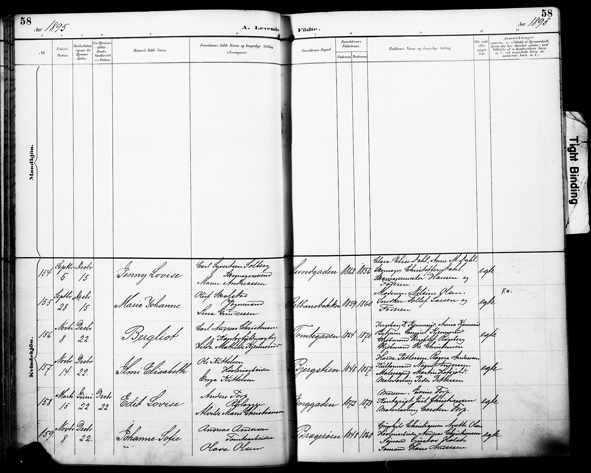 Bragernes kirkebøker, AV/SAKO-A-6/F/Fb/L0008: Parish register (official) no. II 8, 1894-1902, p. 58