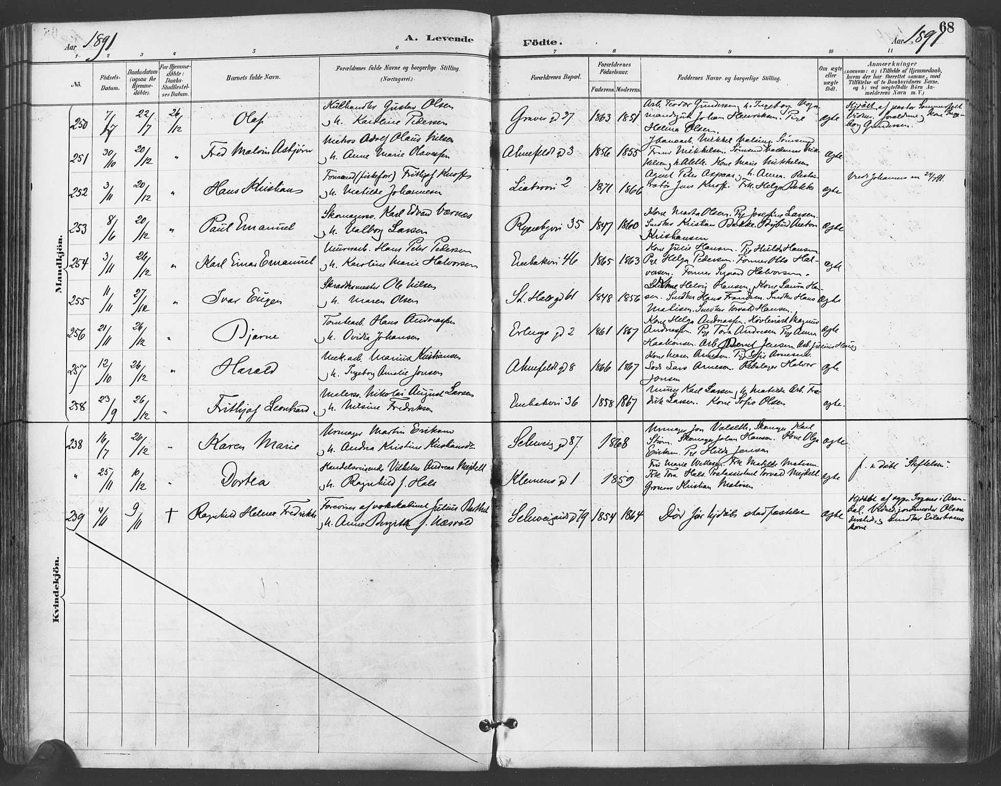 Gamlebyen prestekontor Kirkebøker, SAO/A-10884/F/Fa/L0007: Parish register (official) no. 7, 1889-1899, p. 68
