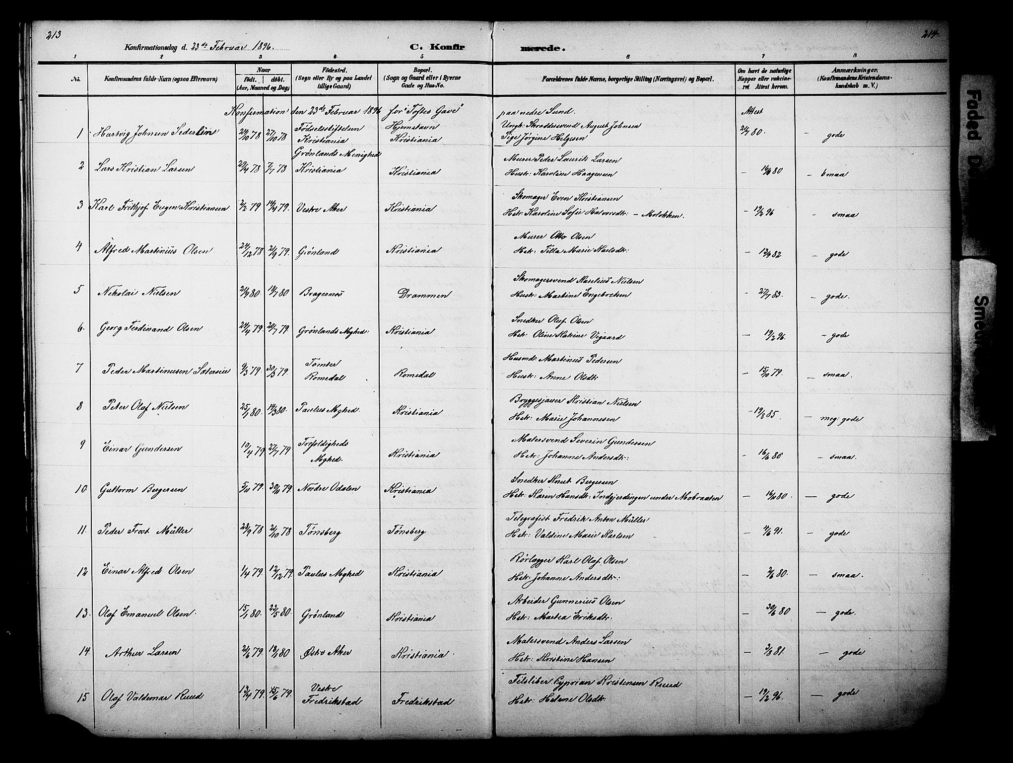 Nes prestekontor, Hedmark, AV/SAH-PREST-020/L/La/L0006: Parish register (copy) no. 6, 1890-1932, p. 213-214