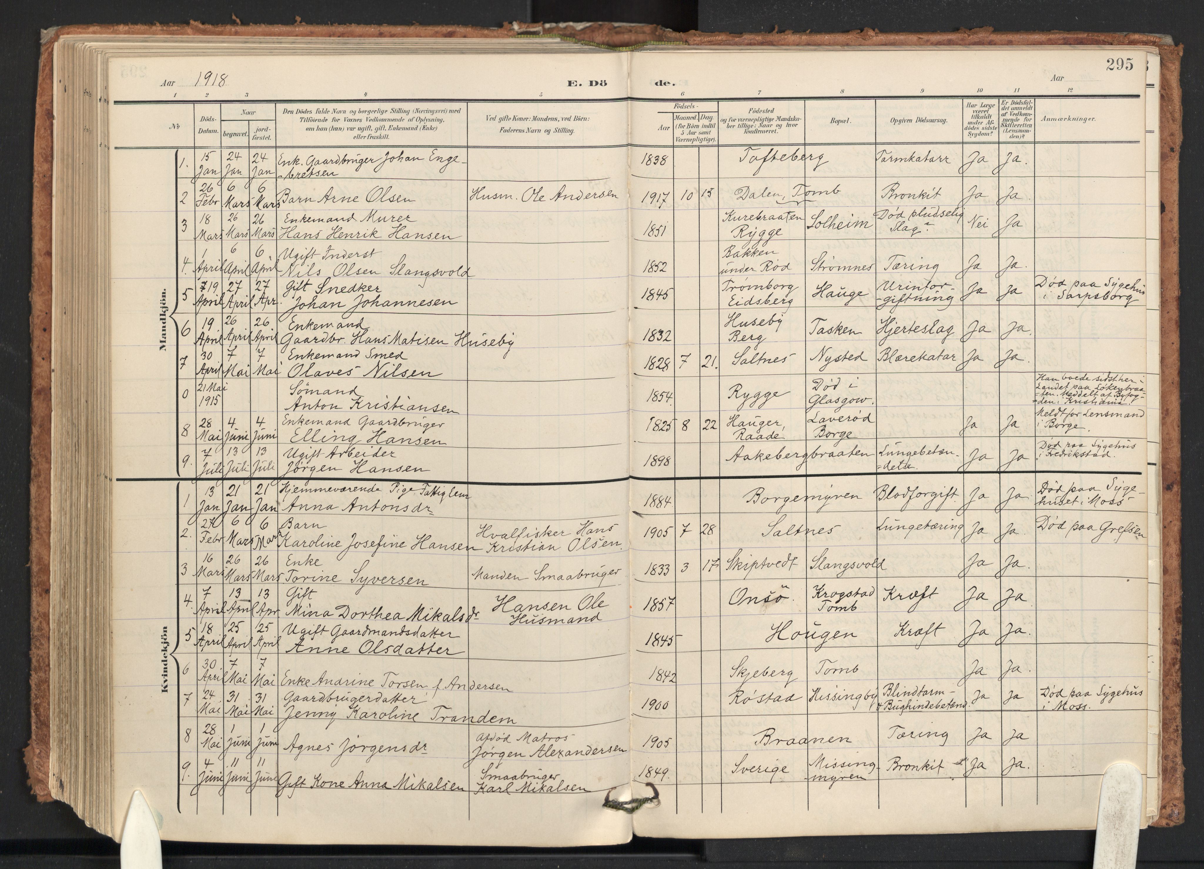Råde prestekontor kirkebøker, AV/SAO-A-2009/F/Fa/L0008: Parish register (official) no. 8, 1903-1924, p. 295