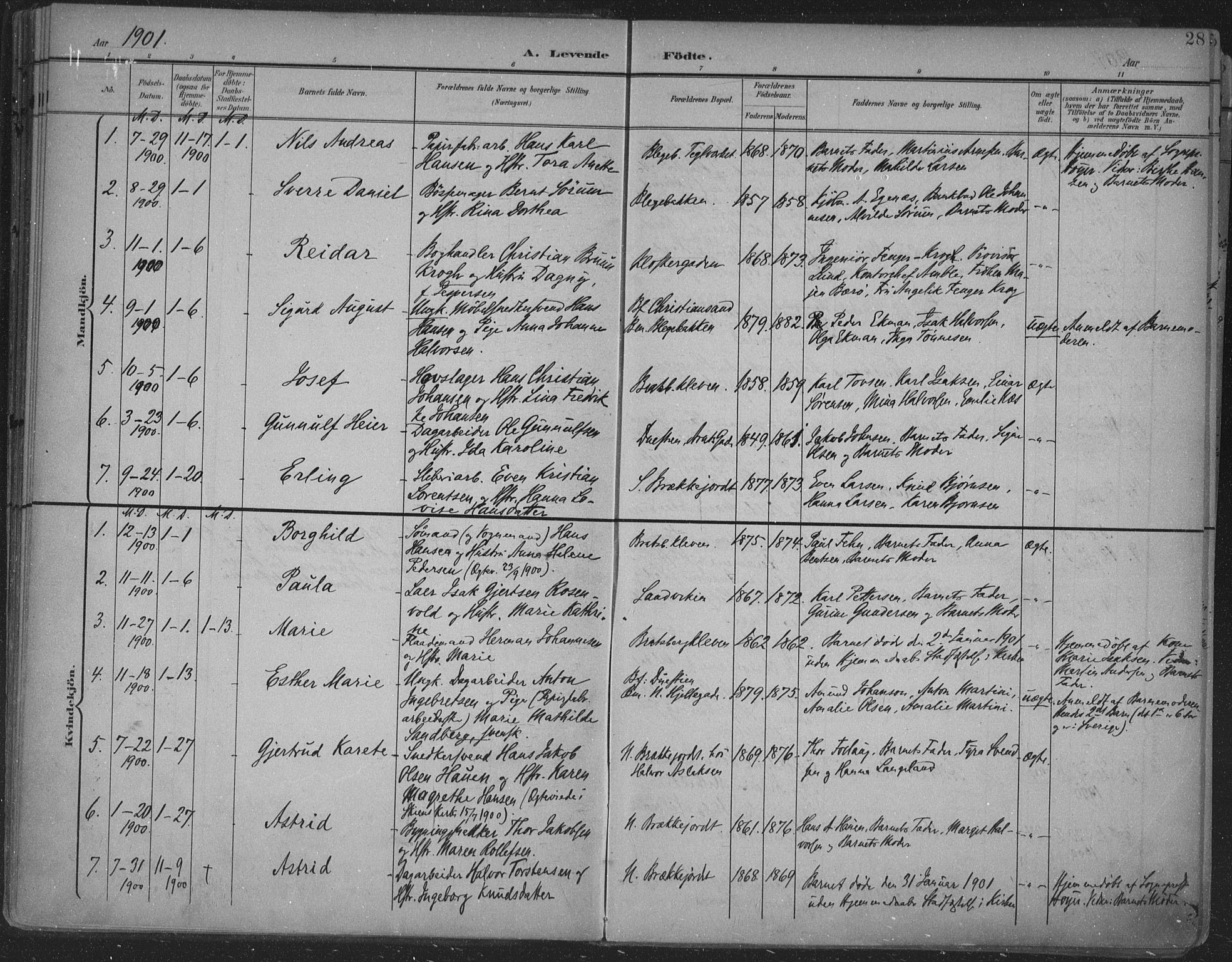 Skien kirkebøker, SAKO/A-302/F/Fa/L0011: Parish register (official) no. 11, 1900-1907, p. 28
