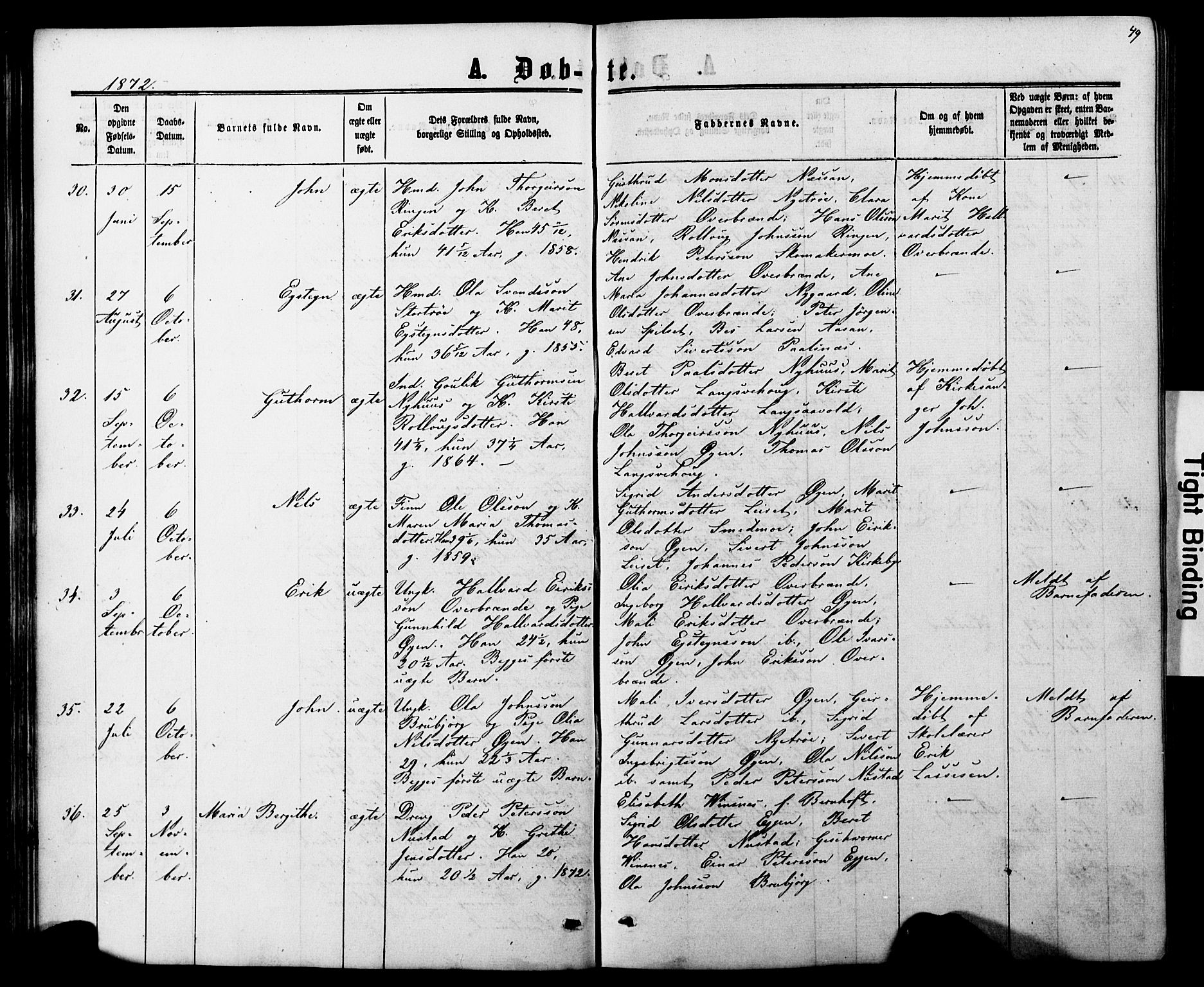 Ministerialprotokoller, klokkerbøker og fødselsregistre - Nord-Trøndelag, AV/SAT-A-1458/706/L0049: Parish register (copy) no. 706C01, 1864-1895, p. 49