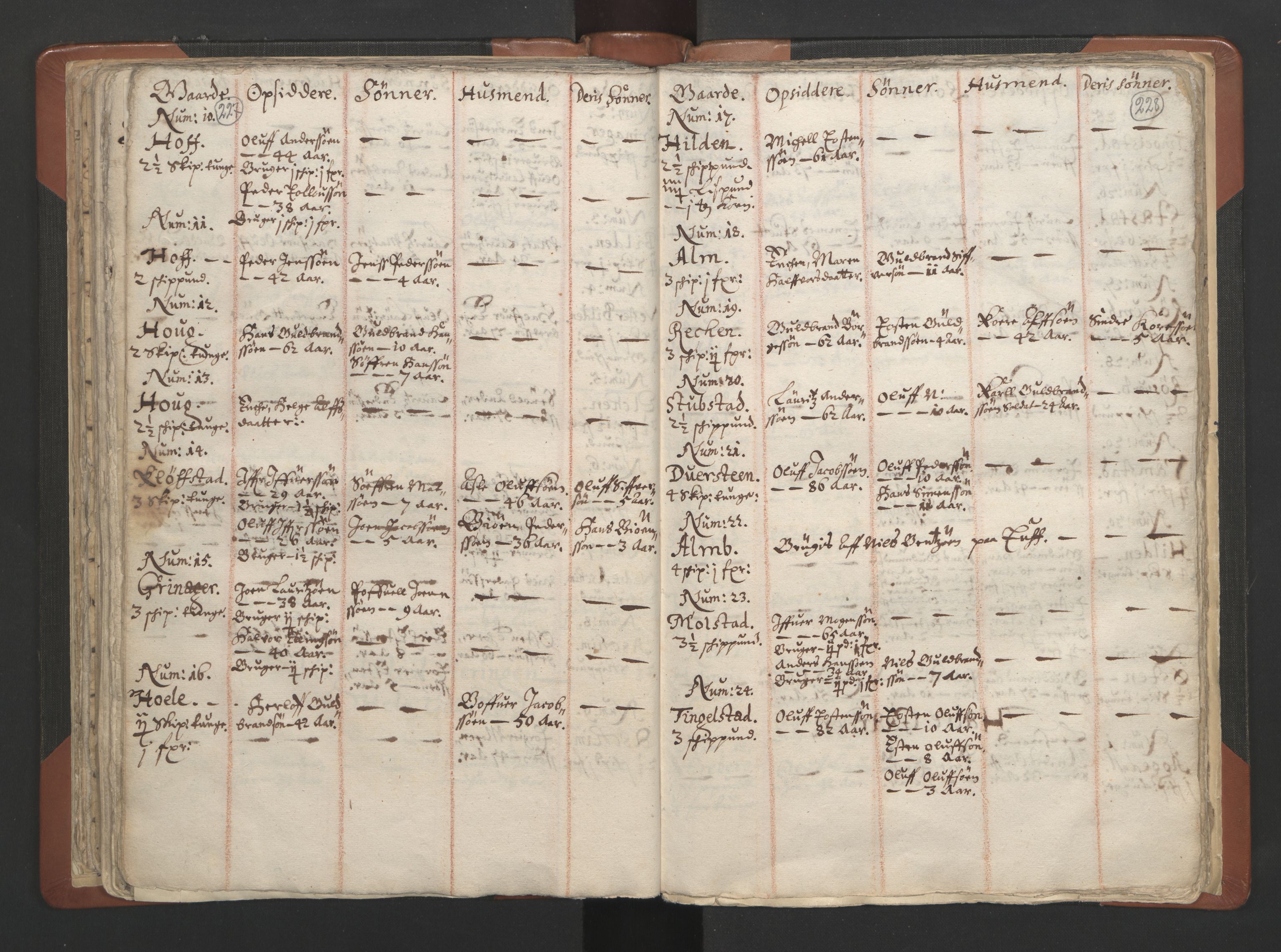 RA, Vicar's Census 1664-1666, no. 7: Hadeland deanery, 1664-1666, p. 227-228