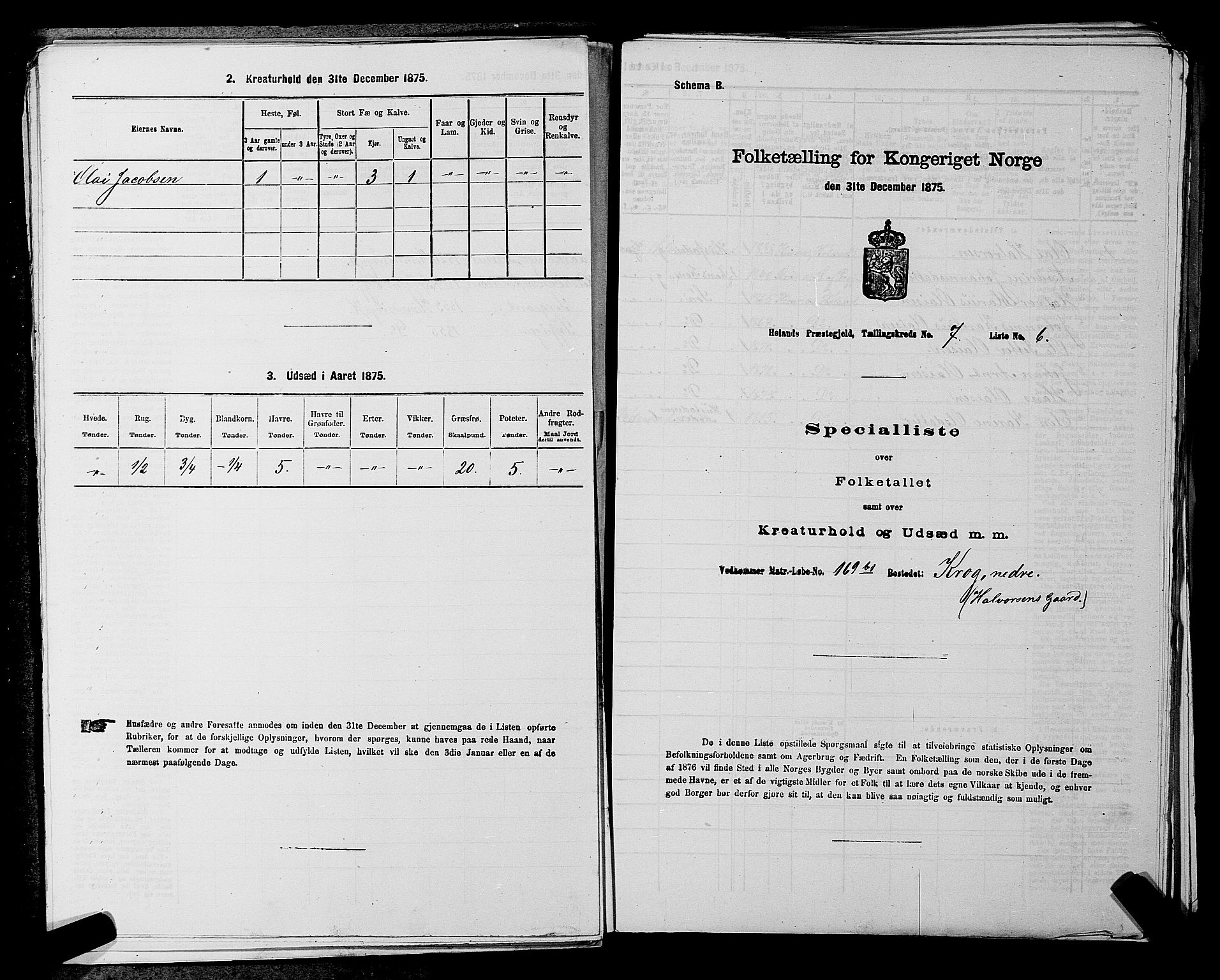 RA, 1875 census for 0221P Høland, 1875, p. 1248