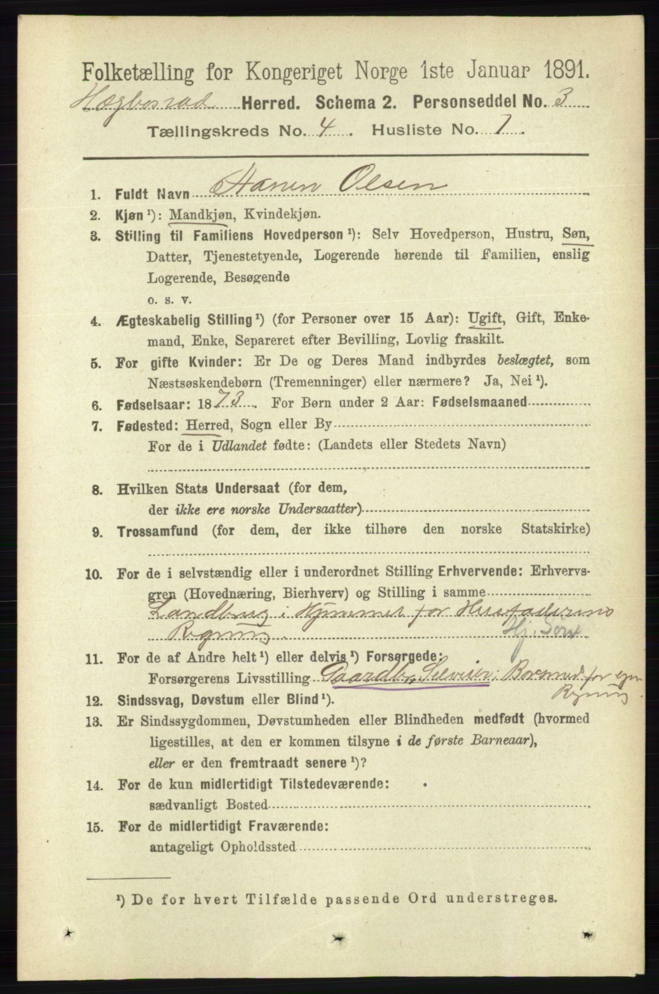 RA, 1891 census for 1034 Hægebostad, 1891, p. 1192