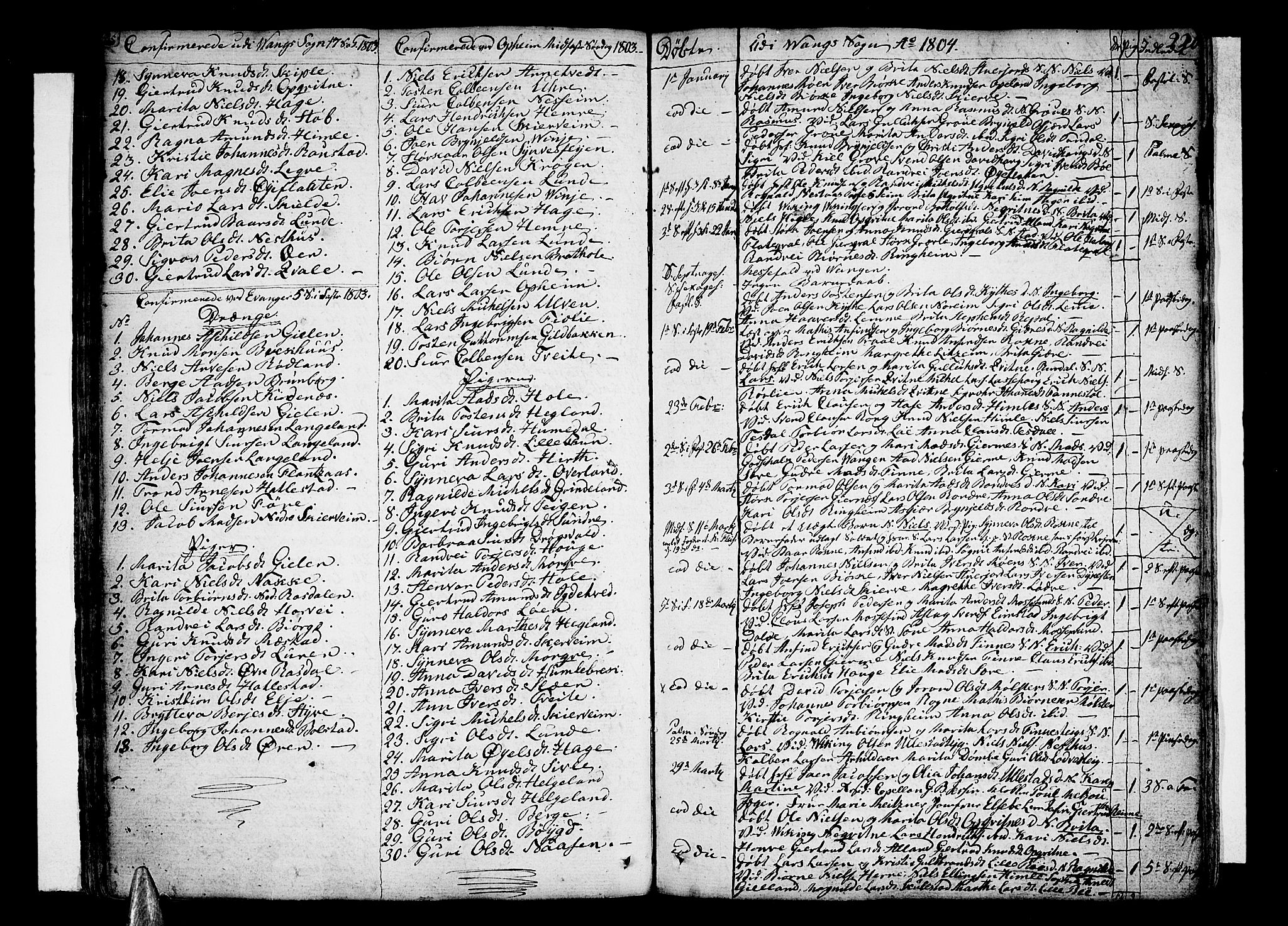 Voss sokneprestembete, SAB/A-79001/H/Haa: Parish register (official) no. A 9, 1780-1810, p. 220