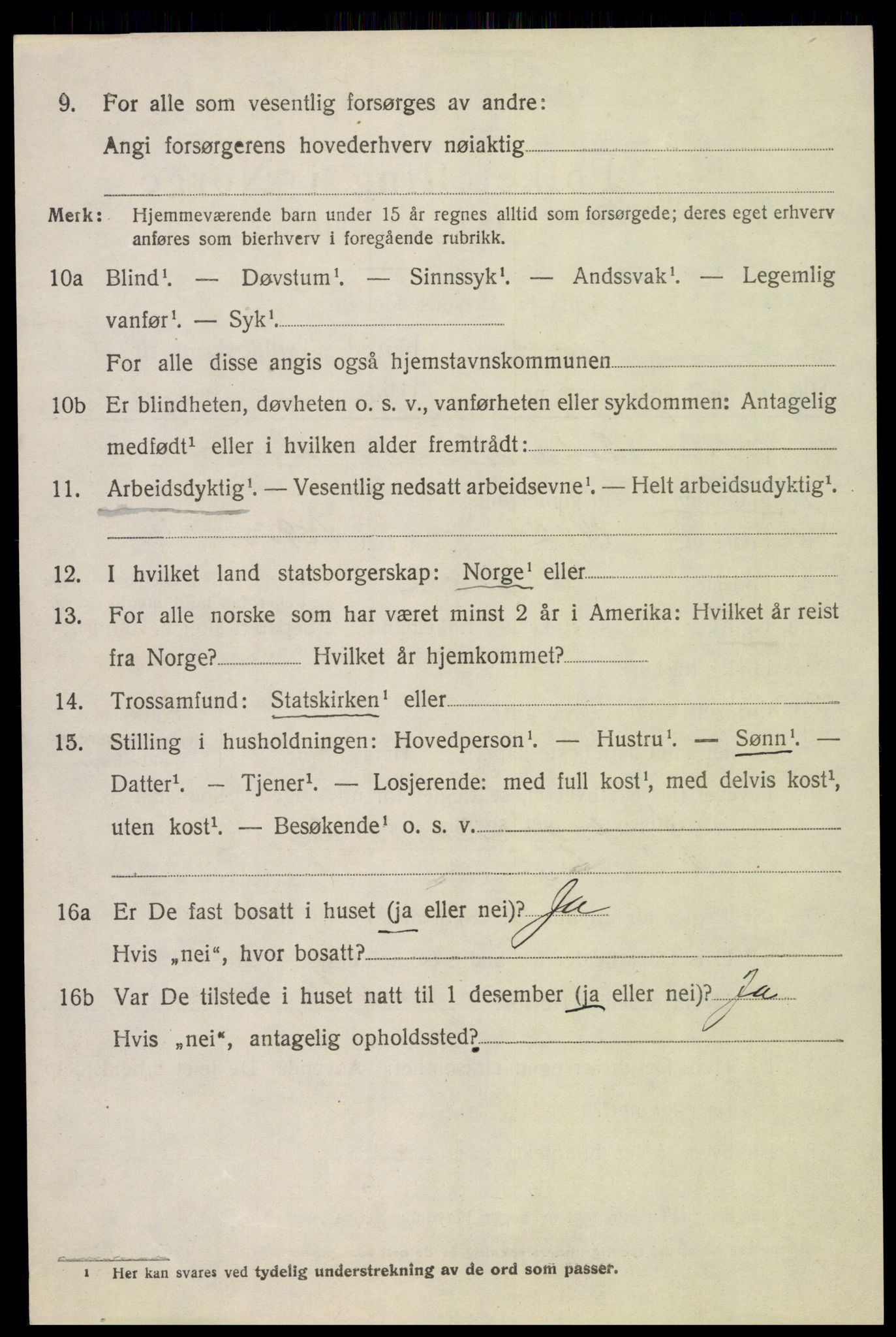 SAH, 1920 census for Skjåk, 1920, p. 1567