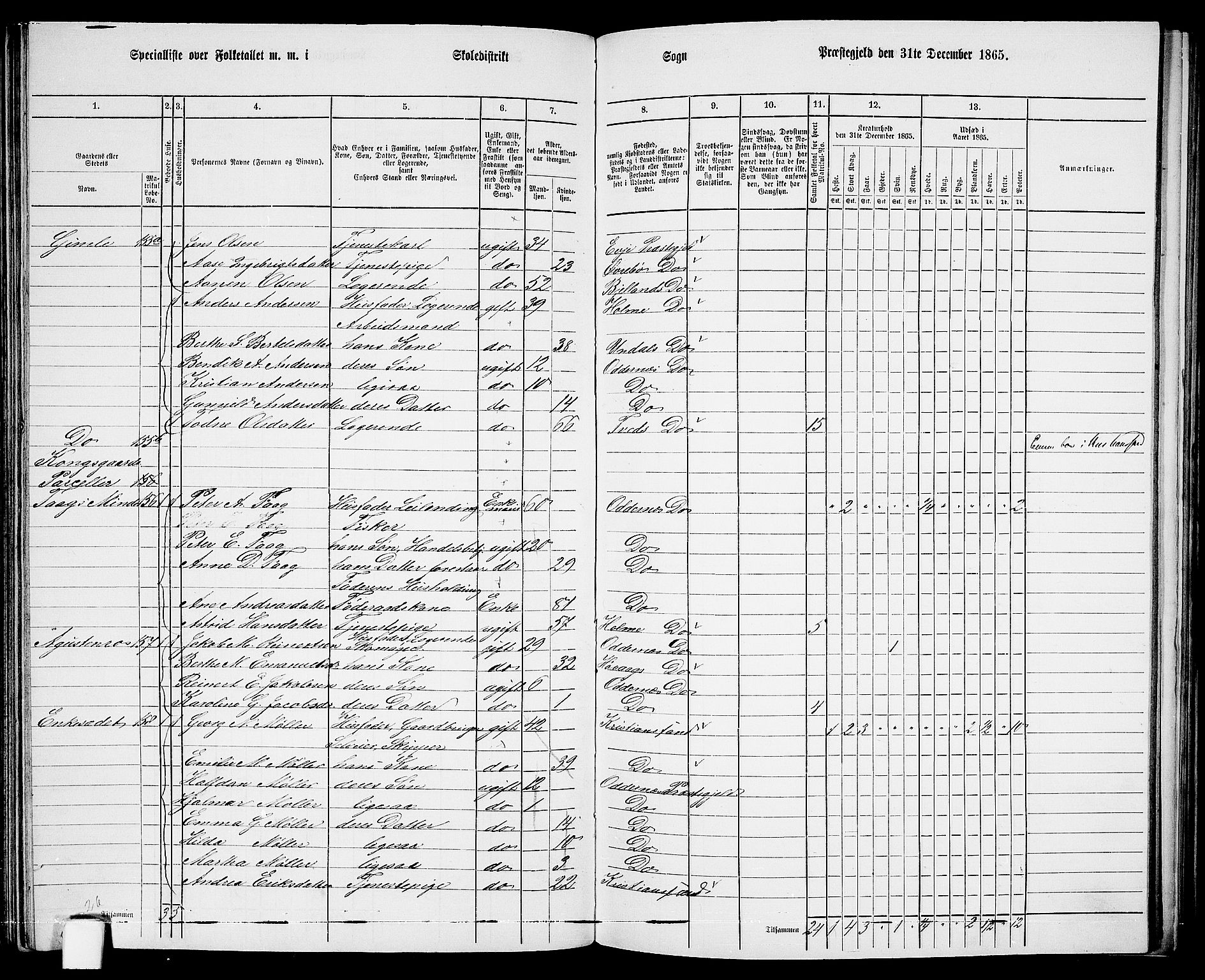 RA, 1865 census for Oddernes, 1865, p. 89