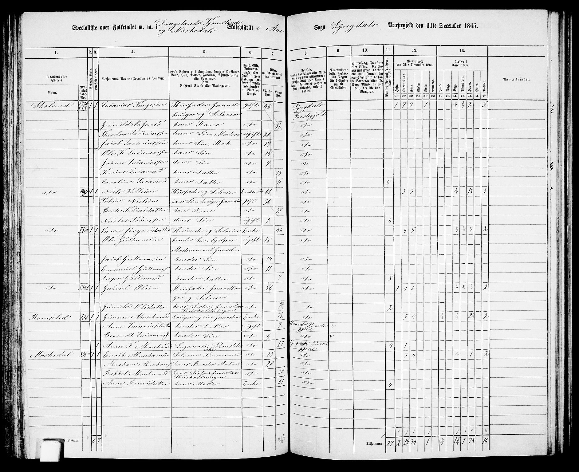 RA, 1865 census for Lyngdal, 1865, p. 148