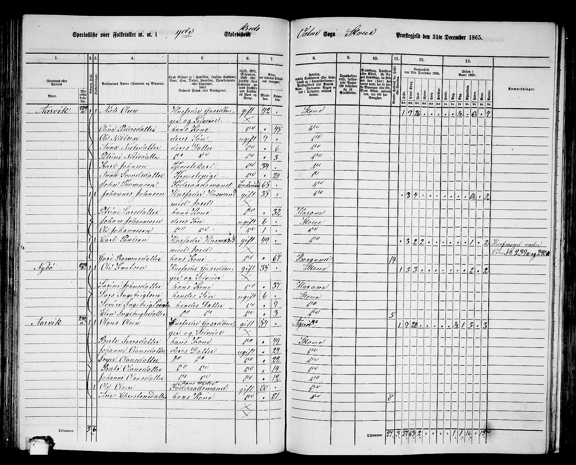 RA, 1865 census for Skodje, 1865, p. 86