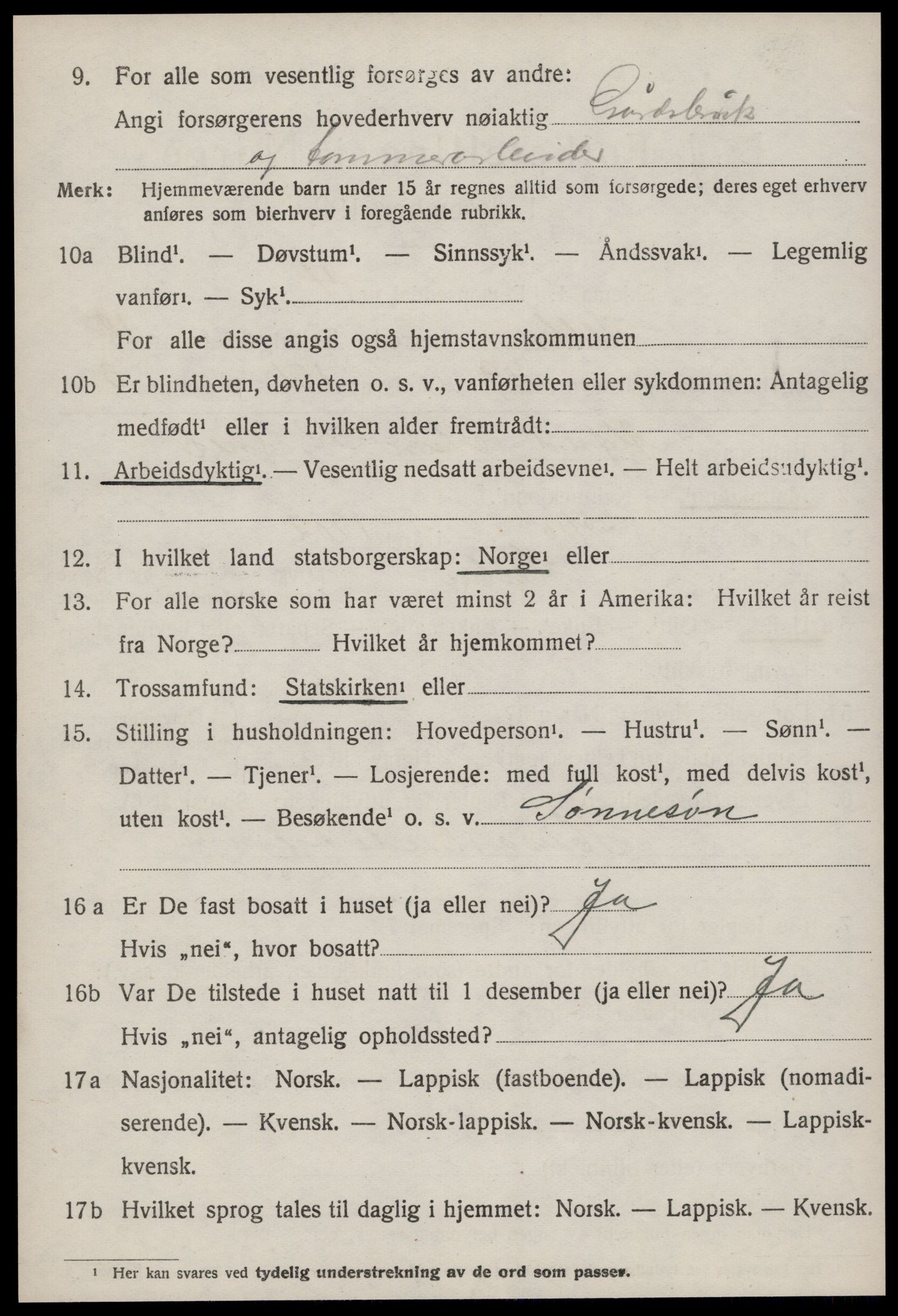 SAT, 1920 census for Selbu, 1920, p. 9719