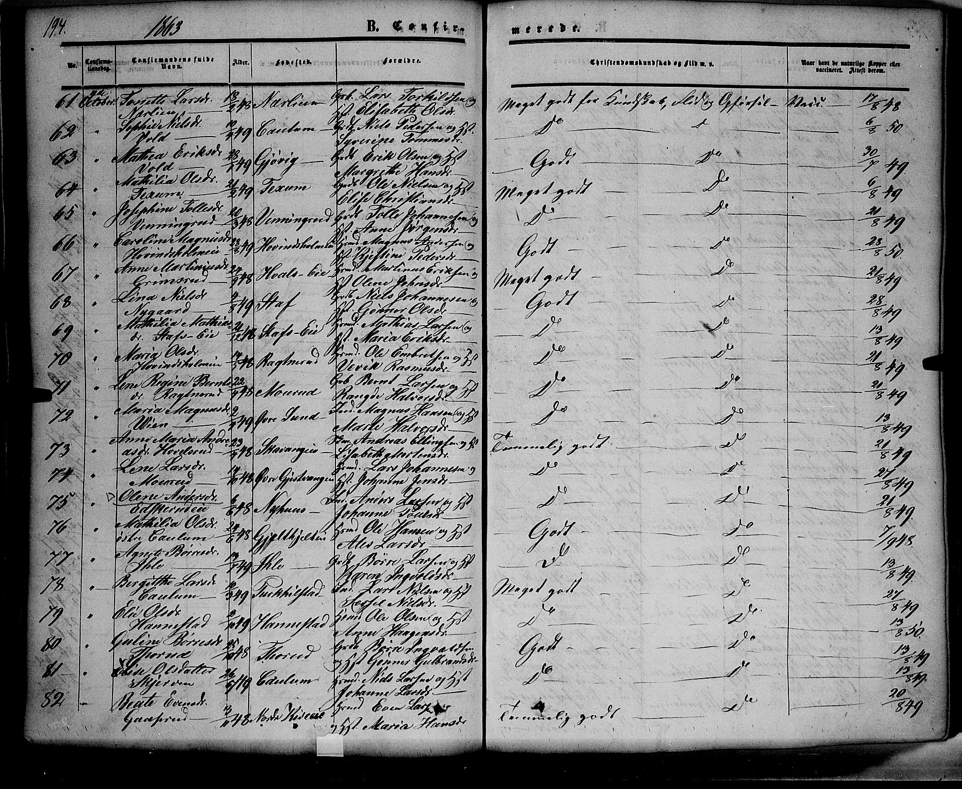 Nes prestekontor, Hedmark, AV/SAH-PREST-020/K/Ka/L0004: Parish register (official) no. 4, 1852-1886, p. 194