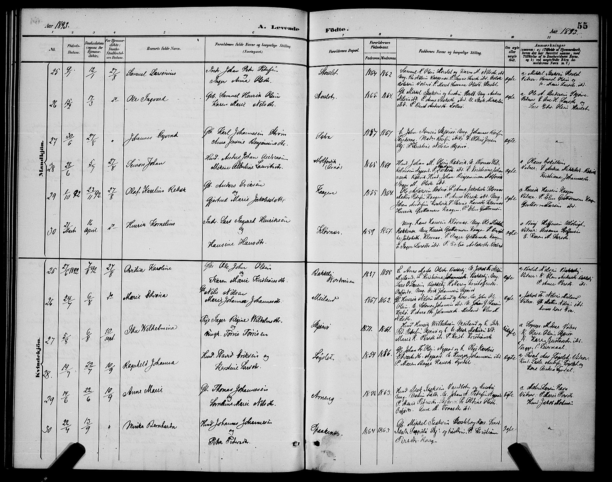 Skjervøy sokneprestkontor, AV/SATØ-S-1300/H/Ha/Hab/L0007klokker: Parish register (copy) no. 7, 1889-1899, p. 55