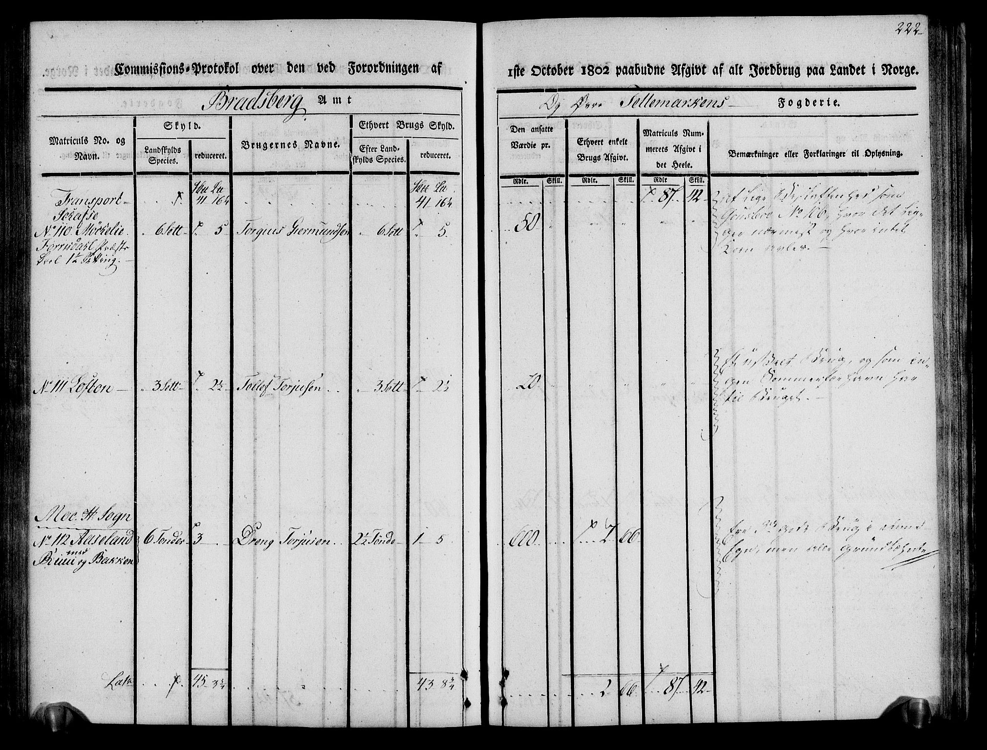 Rentekammeret inntil 1814, Realistisk ordnet avdeling, AV/RA-EA-4070/N/Ne/Nea/L0075: Øvre Telemarken fogderi. Kommisjonsprotokoll for fogderiets vestre del - Kviteseid, Vinje, Moland [):Fyresdal] og Lårdal prestegjeld., 1803, p. 224