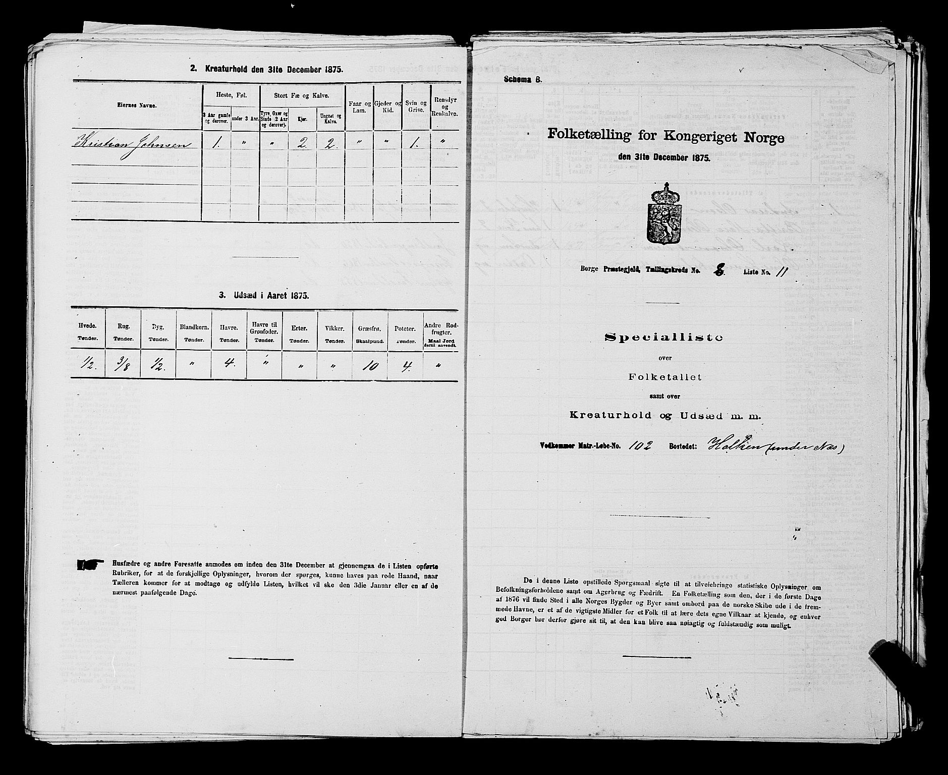 RA, 1875 census for 0113P Borge, 1875, p. 1124