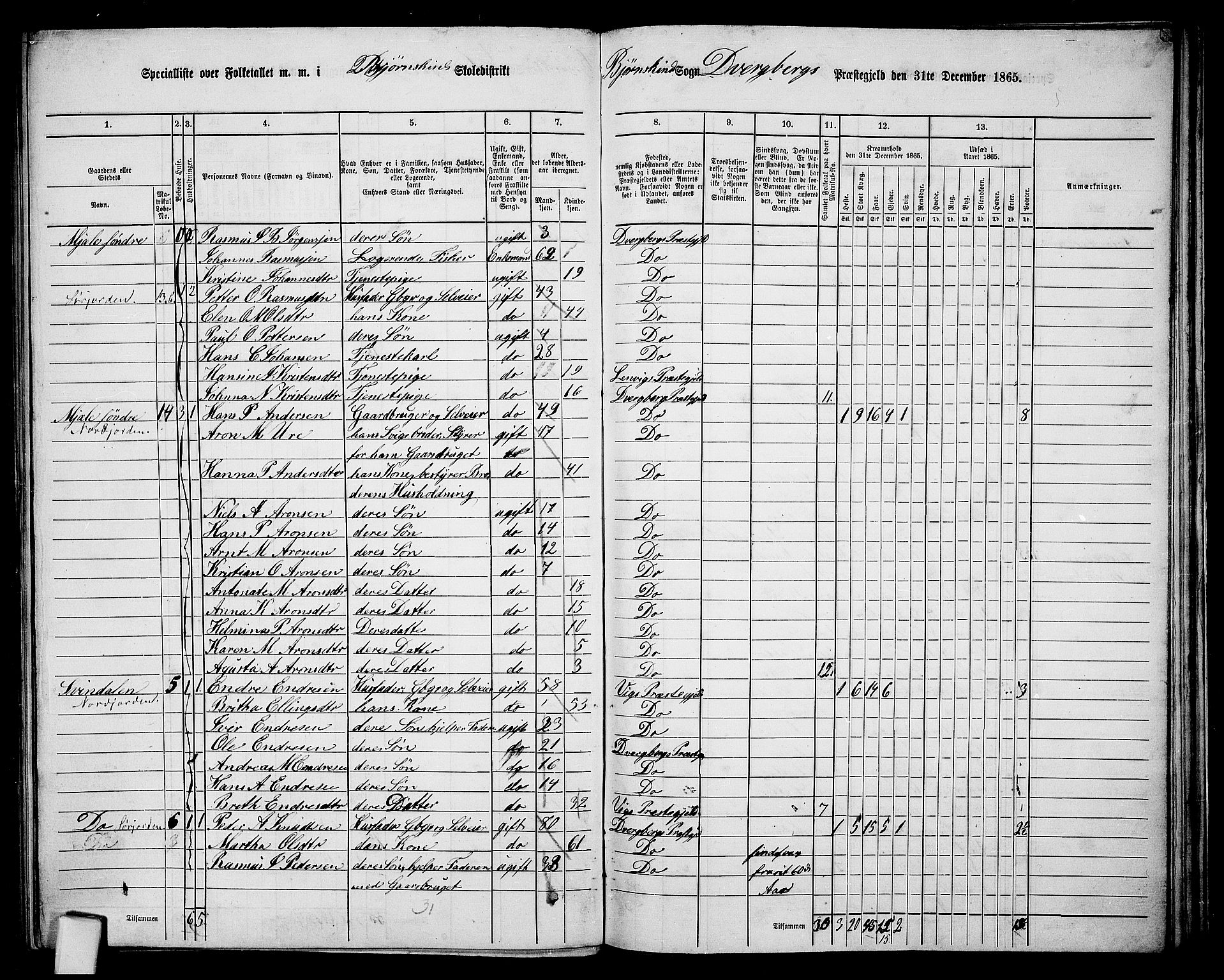 RA, 1865 census for Dverberg, 1865, p. 41